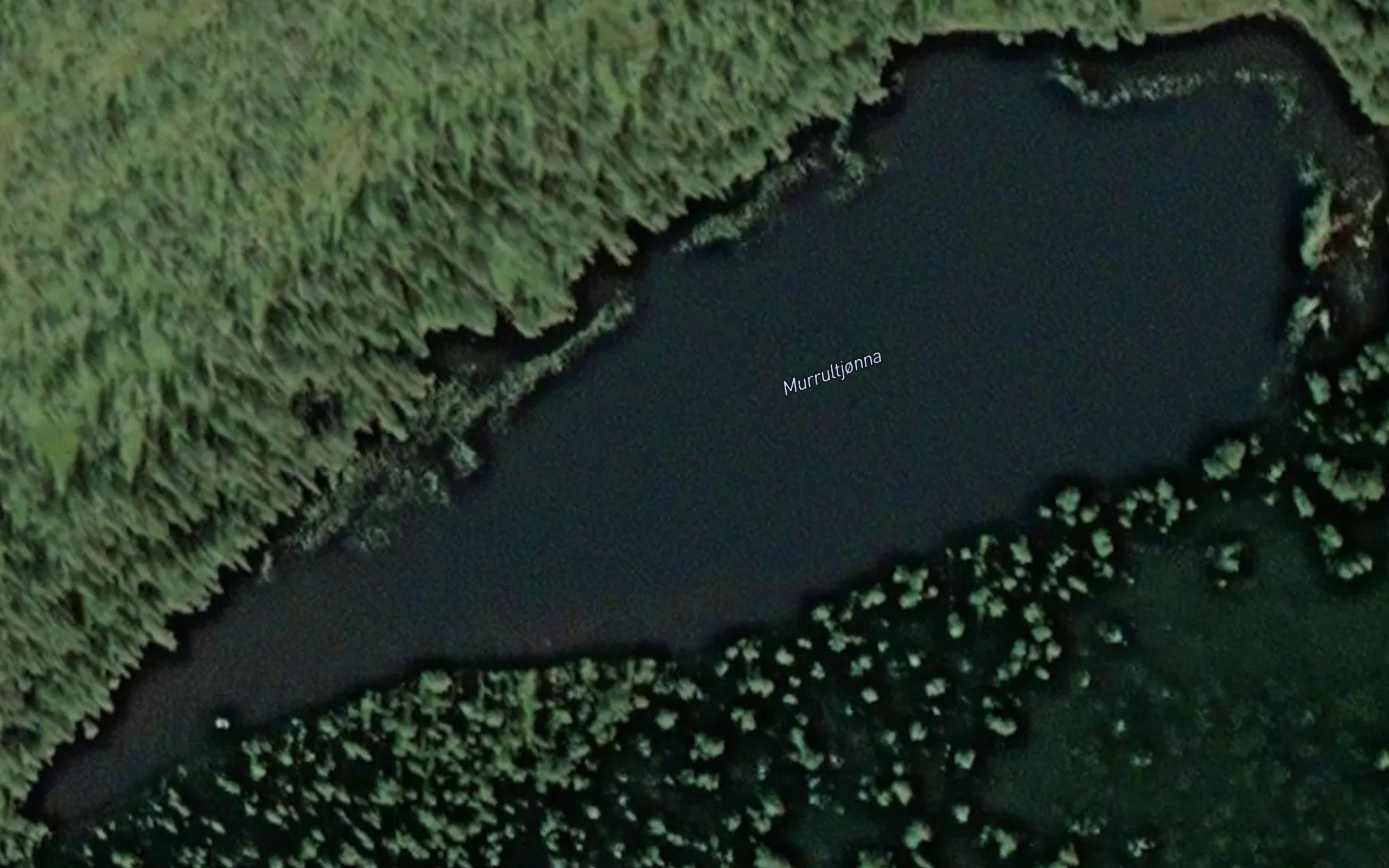 Murultjorna