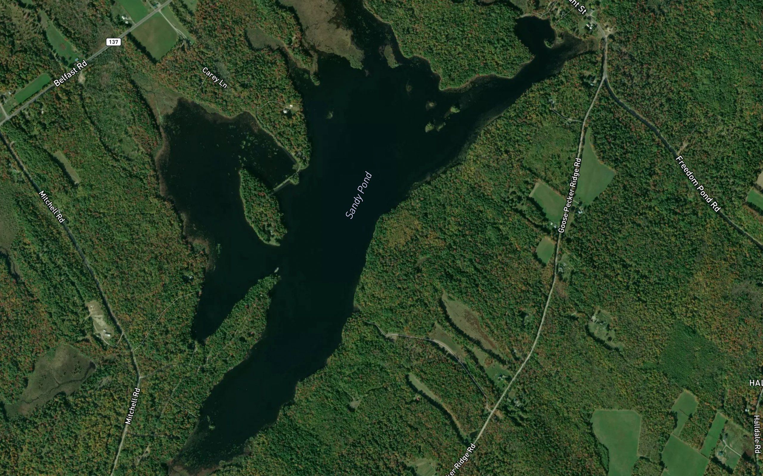 Sandy Pond