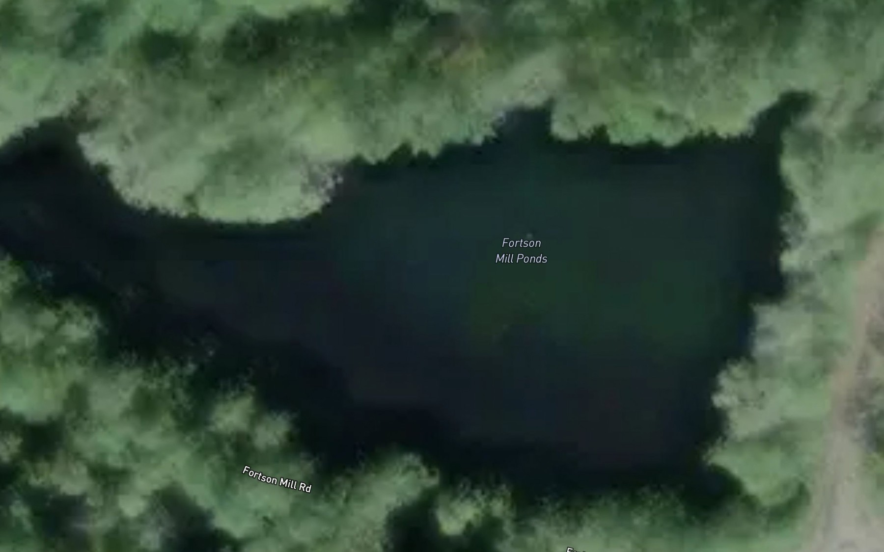 Satellite map of the Fortson Mill Pond