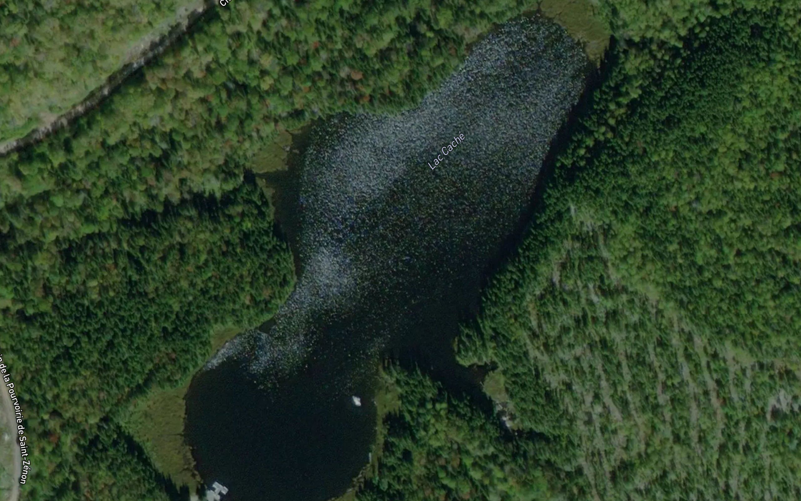 Lac Cache