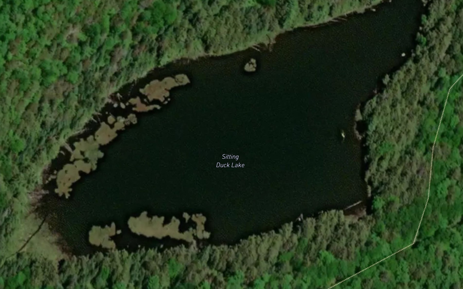 Satellite map of the Sitting Duck Lake