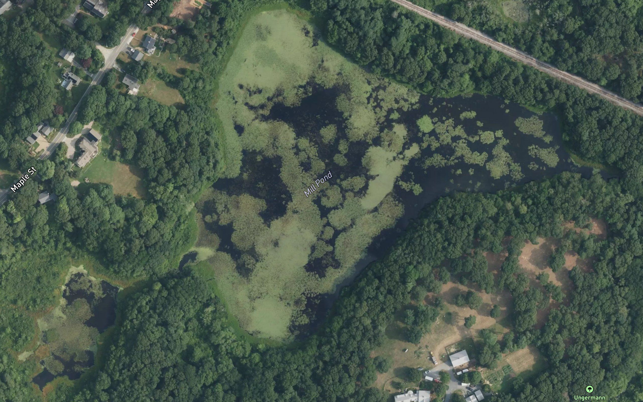 Mill Pond