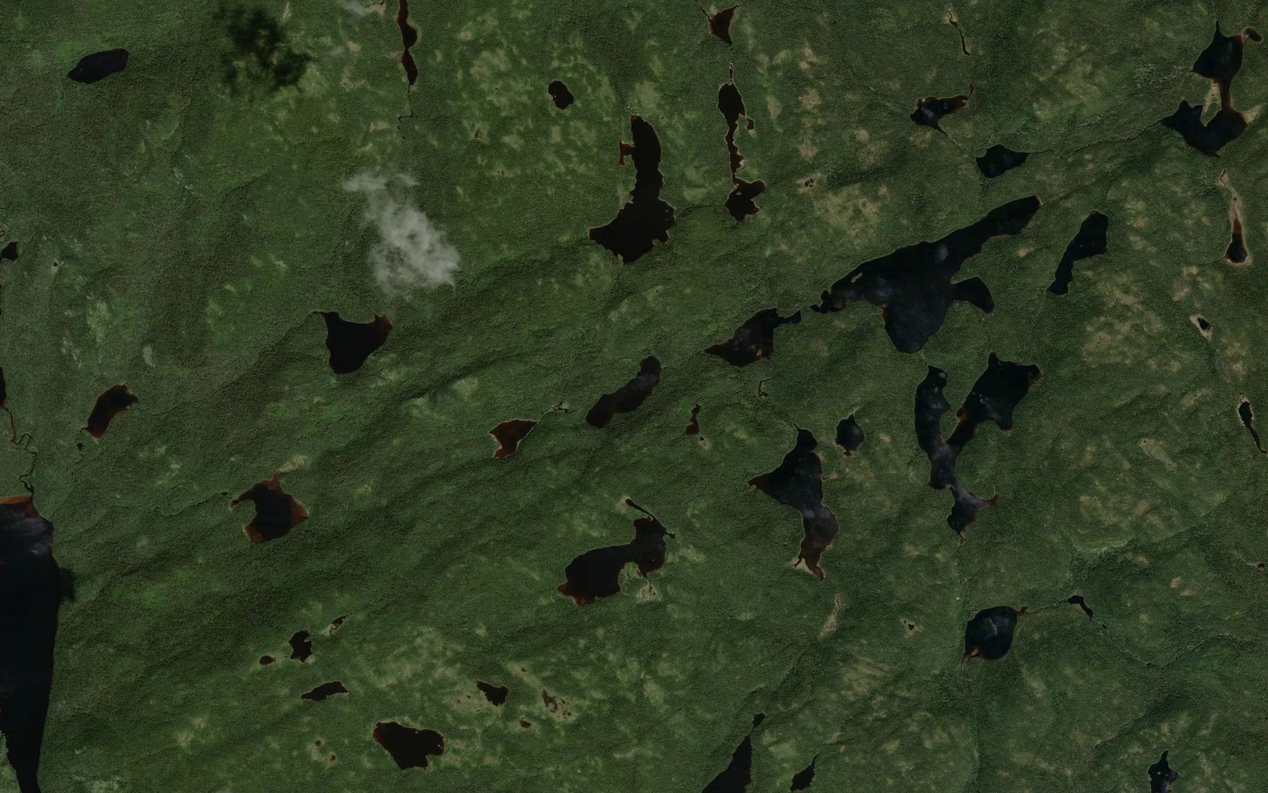 Satellite map of the Lac des Palabres