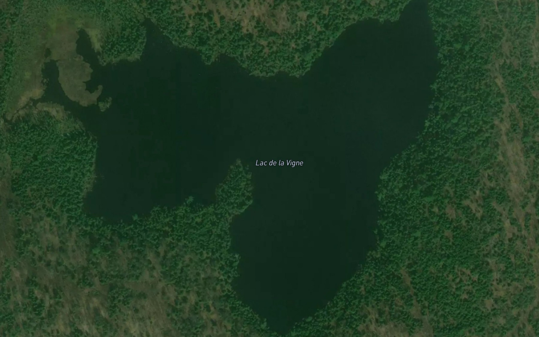 Satellite map of the Lac de la Vigne