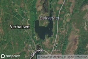 Saltvatnet