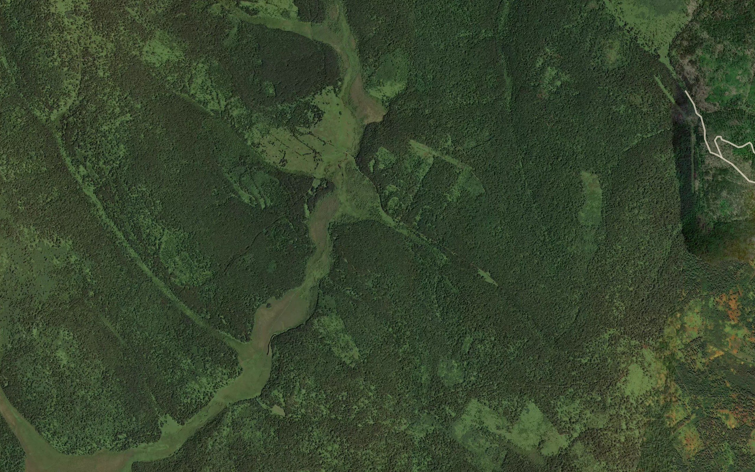 Pad' Nimankova