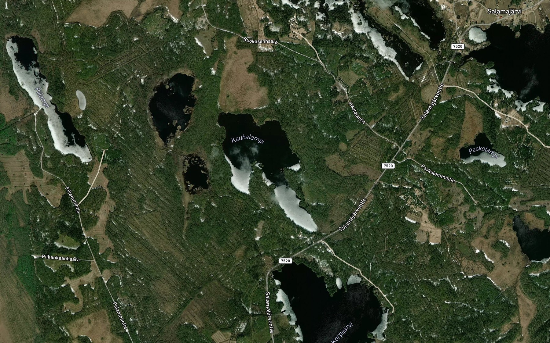 Satellite map of the Katiskalahti