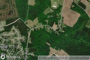 Pineygrove Branch