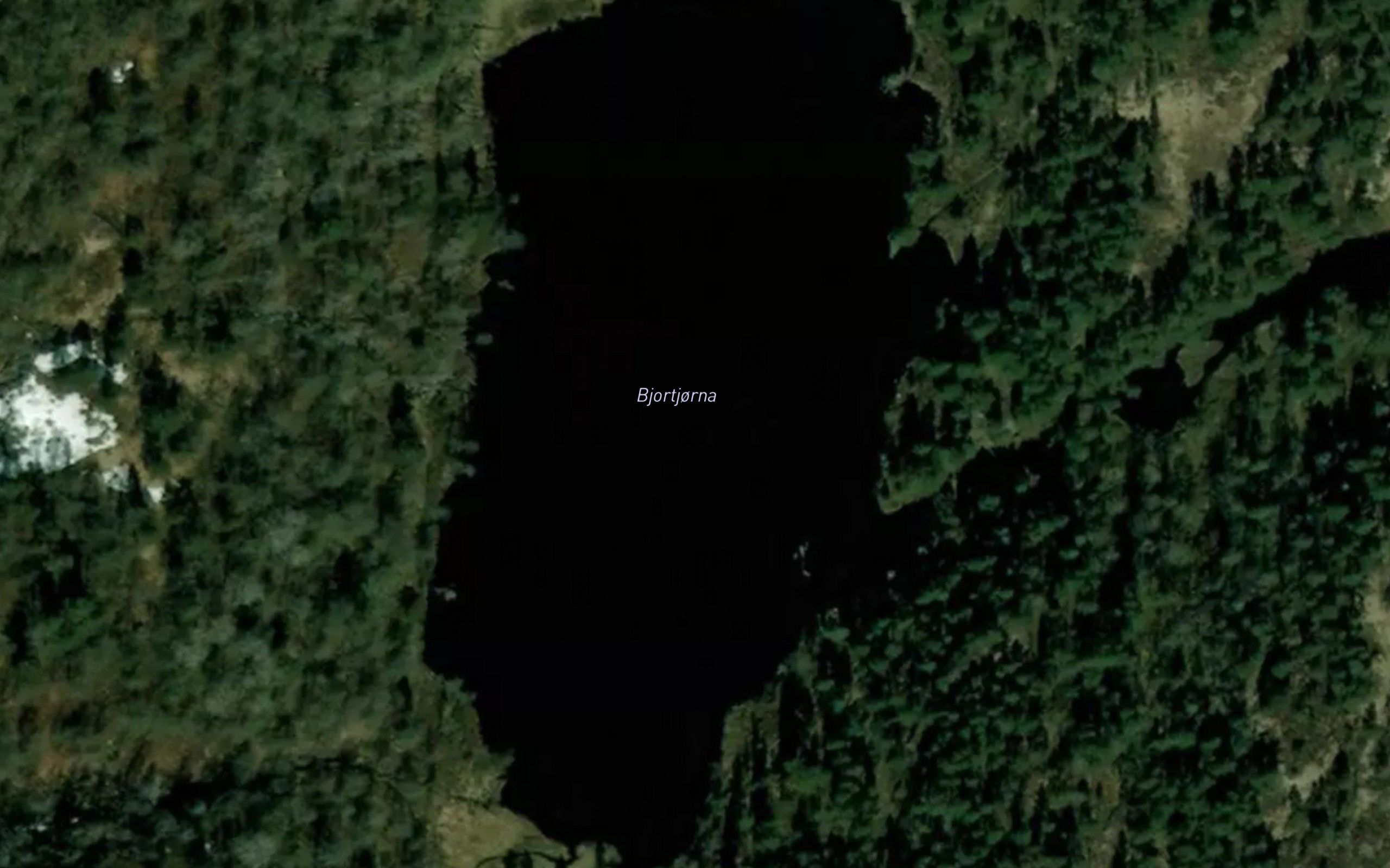 Bjortjorna