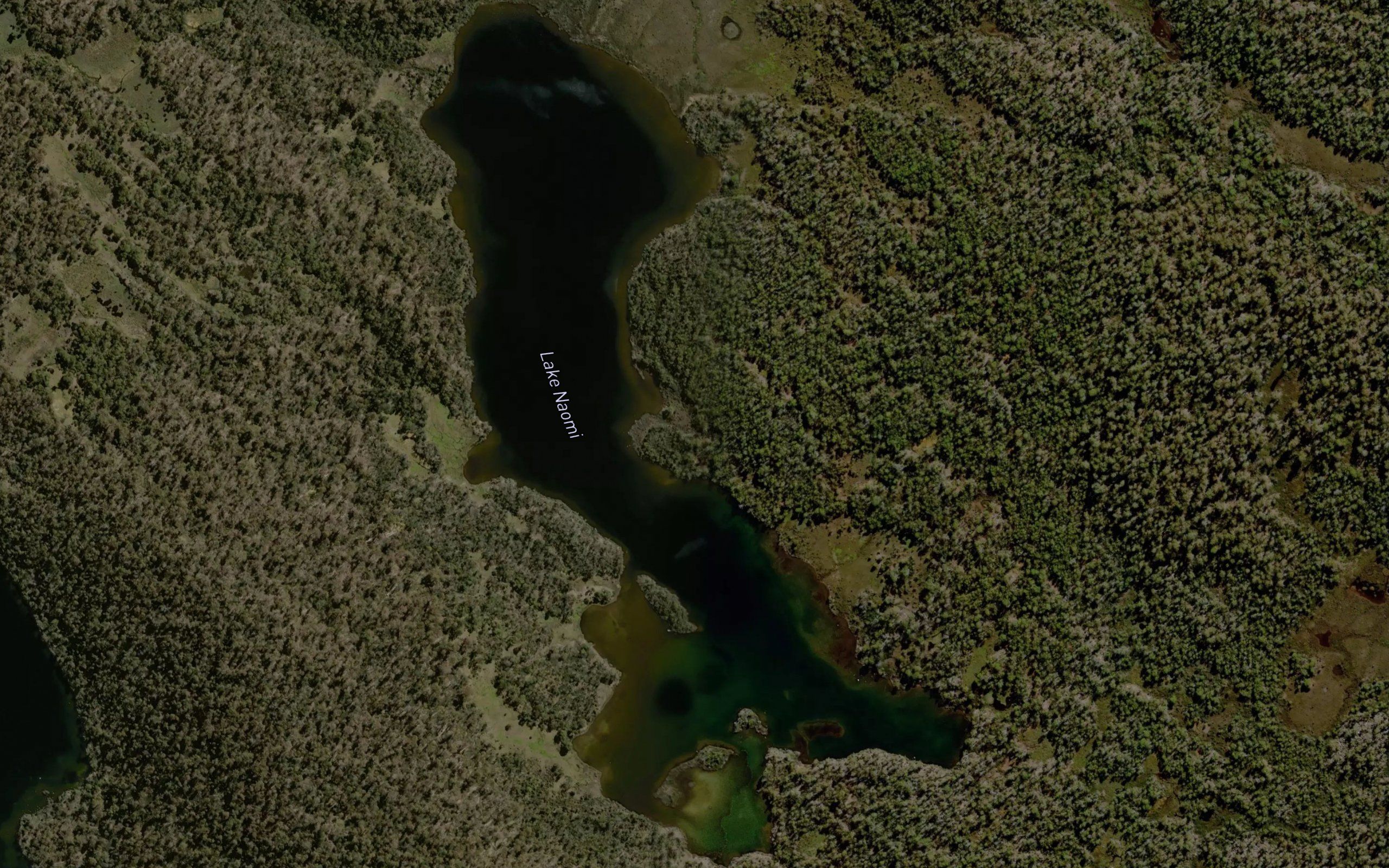 Lake Naomi