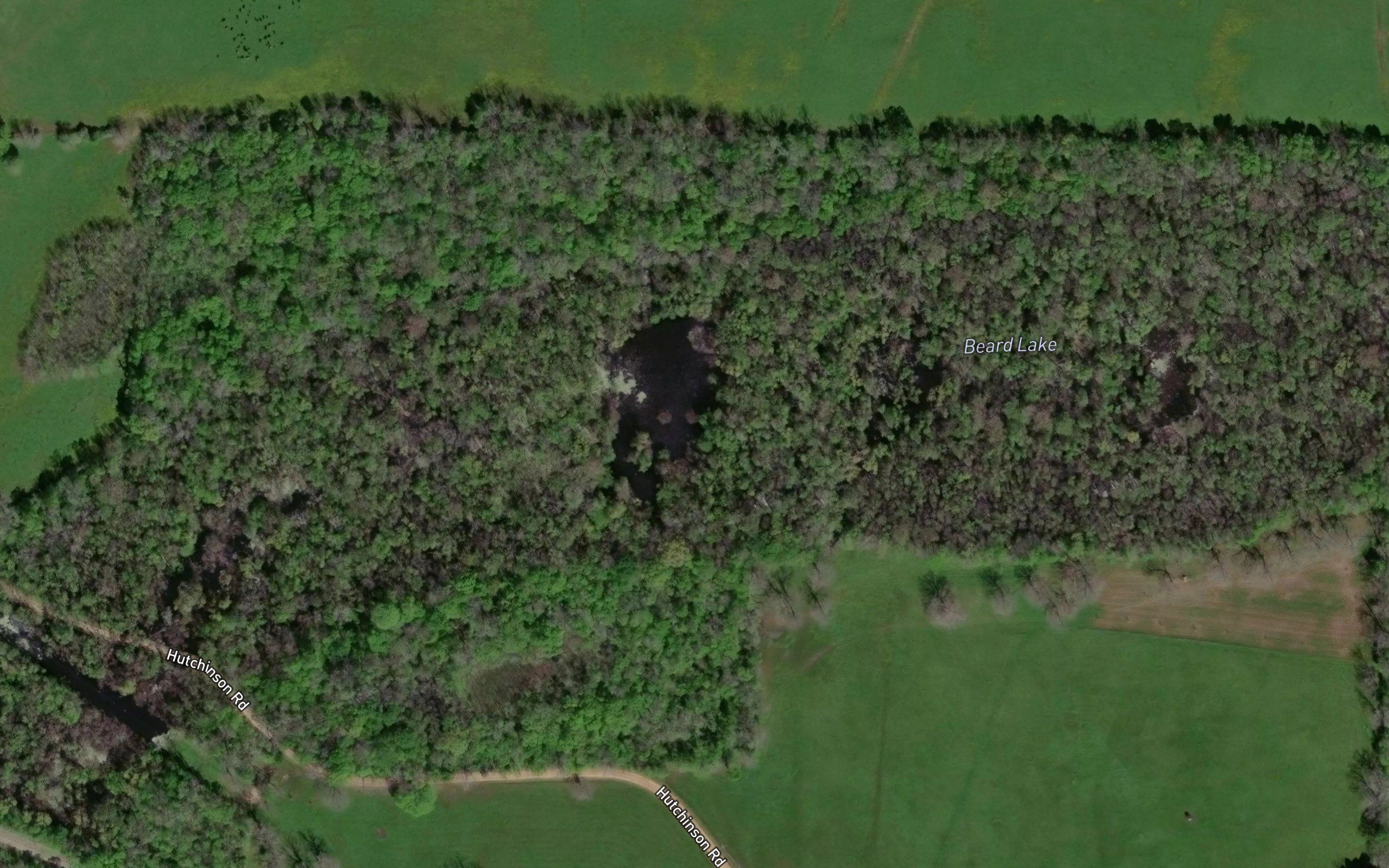 Beard Lake