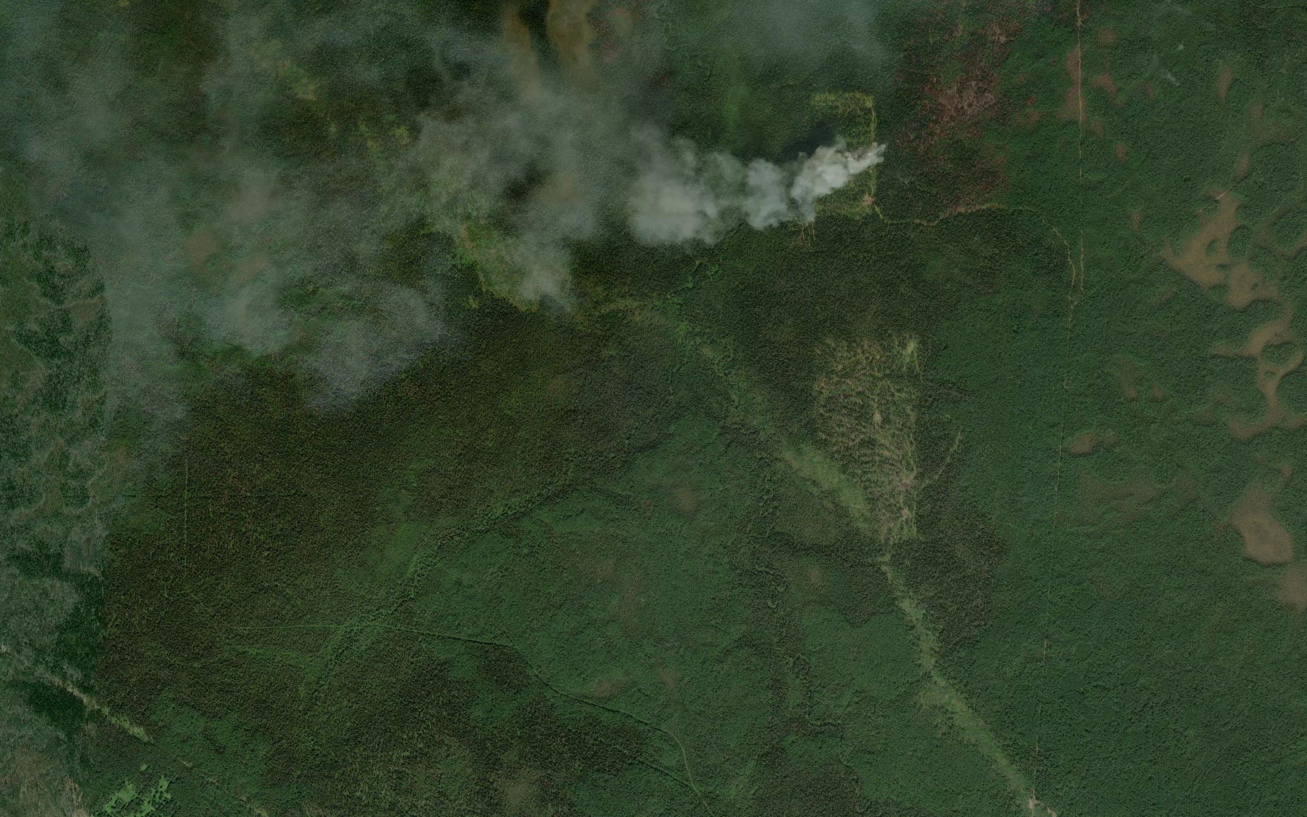Mugotka
