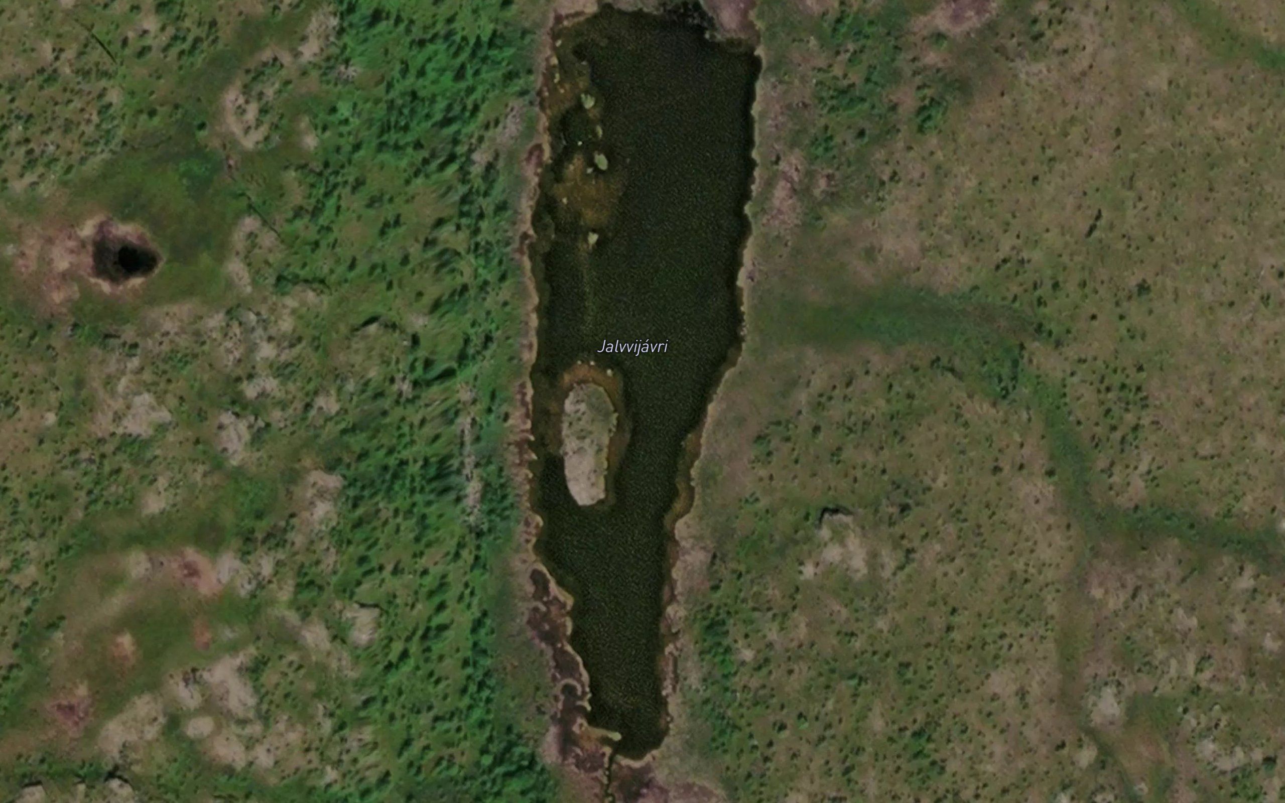 Jalvijavri