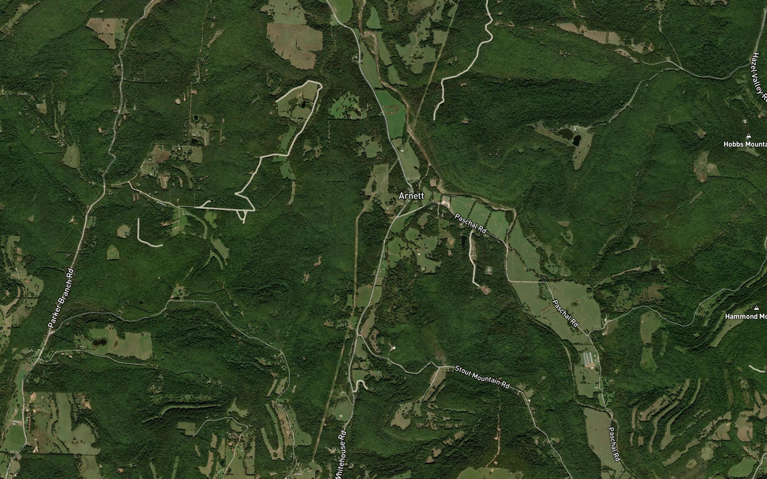 Tatum Spring