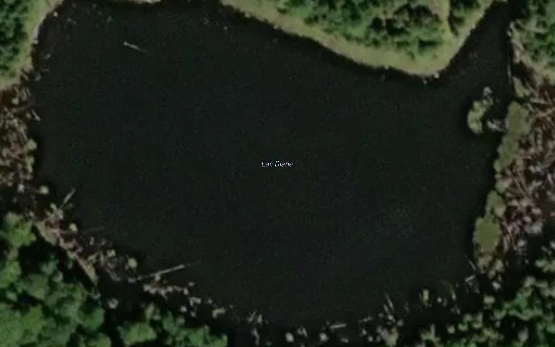 Satellite map of the Lac Diane