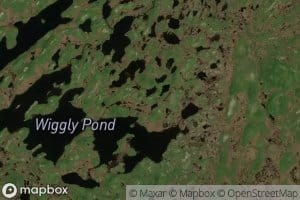 Wiggly Pond
