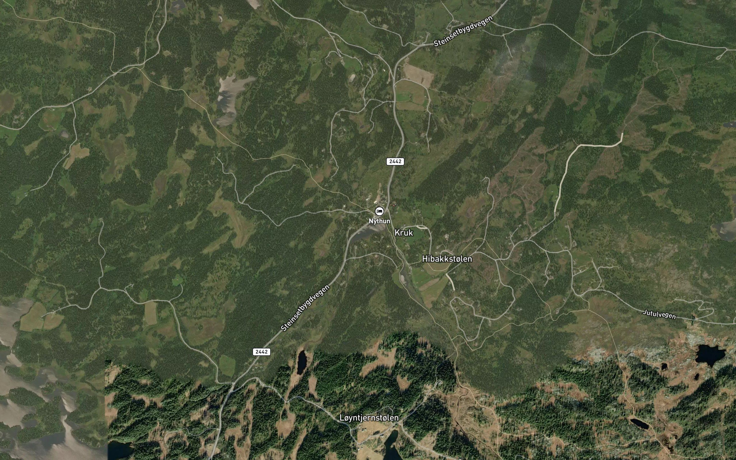 Kruktjernet