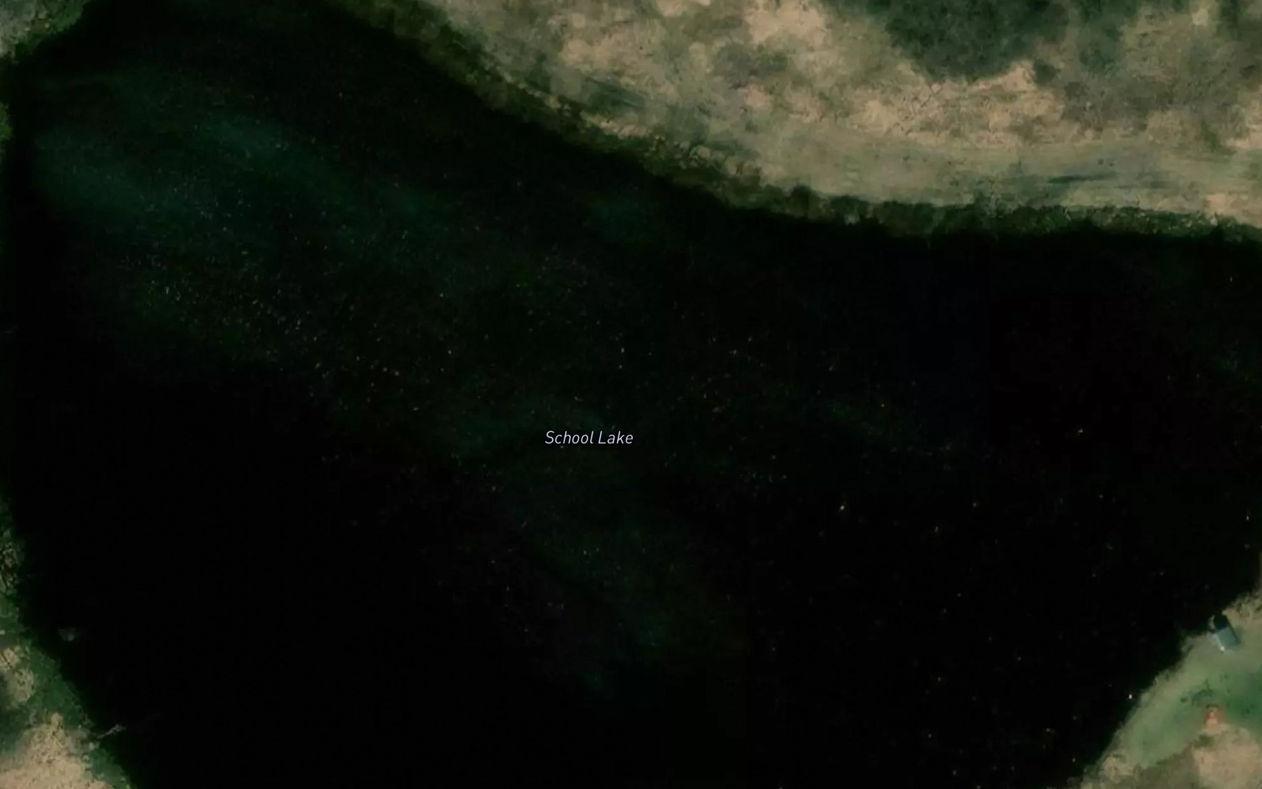 Satellite map of the School Lake