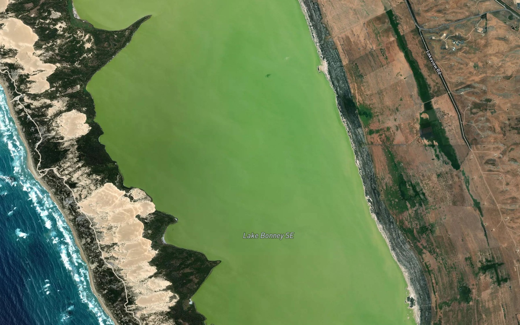 Satellite map of the Lake Bonney
