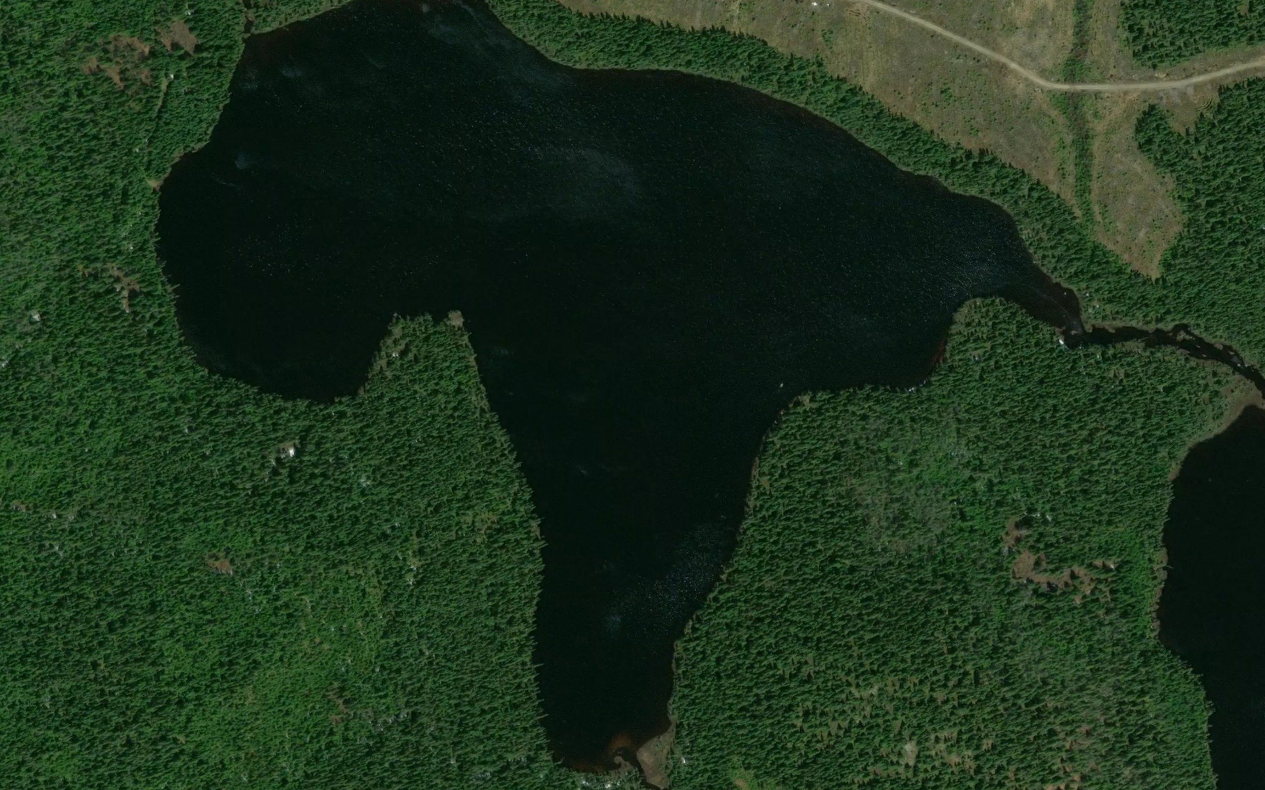 Lac du Pigamon