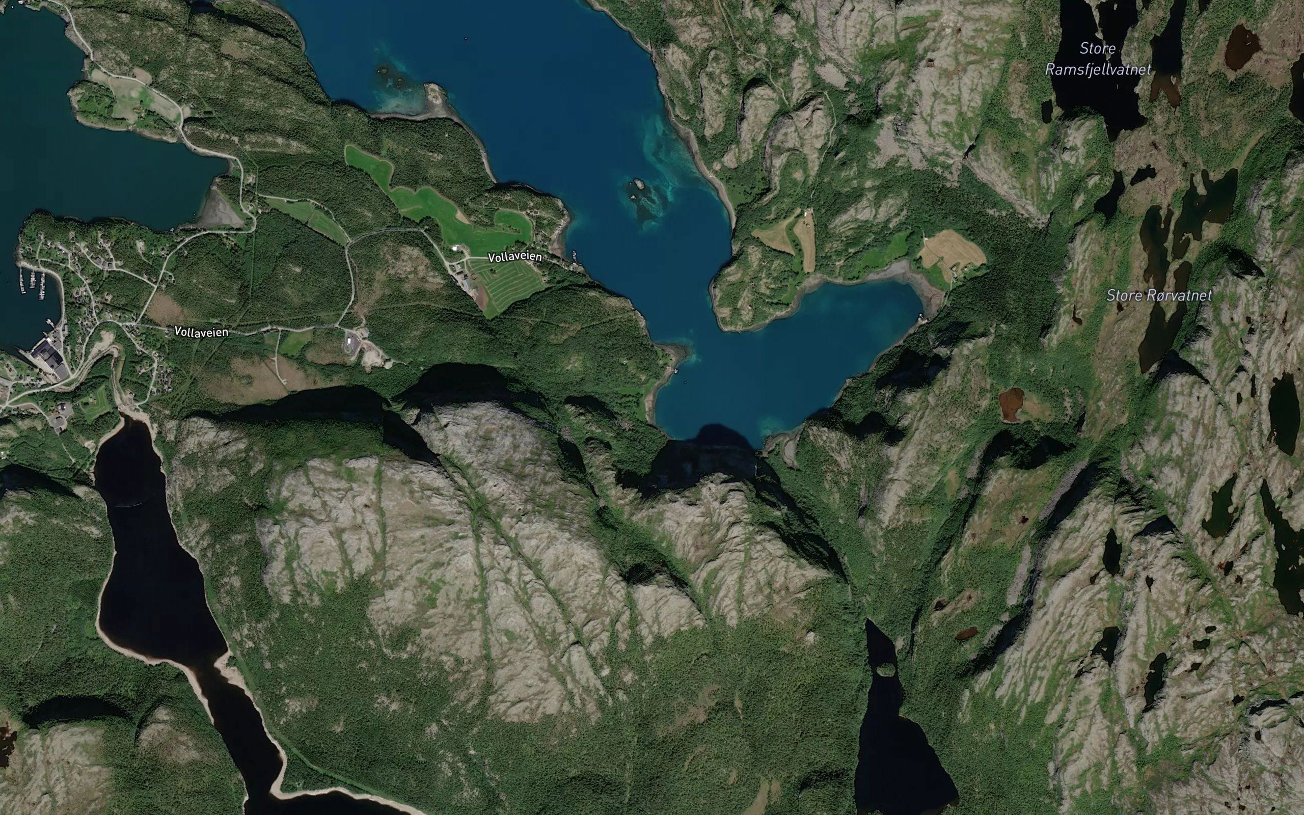 Buknottvika