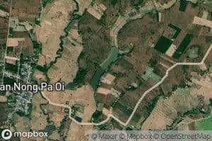 Nong Pa Oi