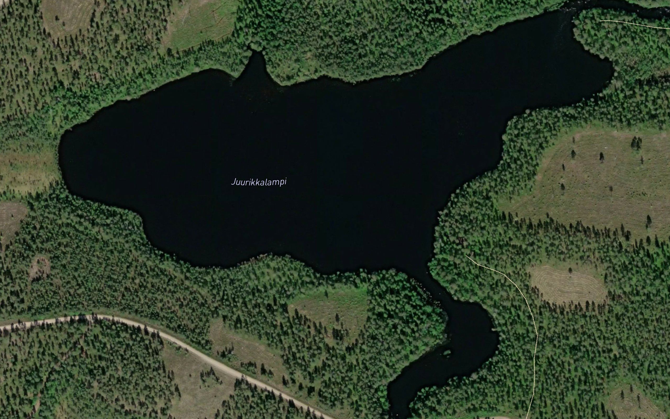 Juurikkalampi