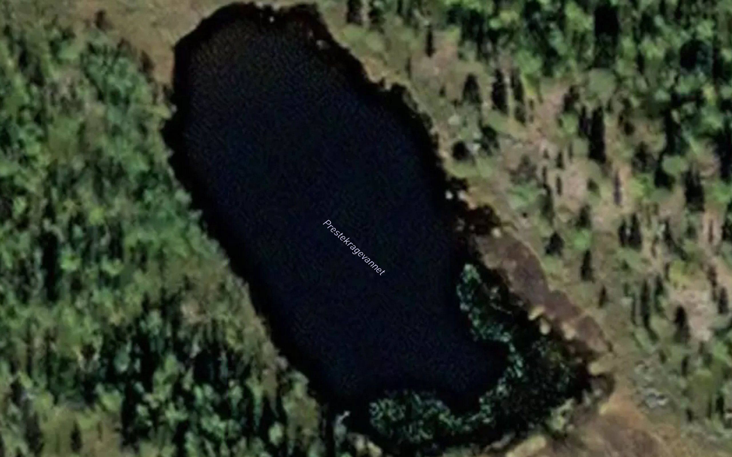 Prestekragevannet