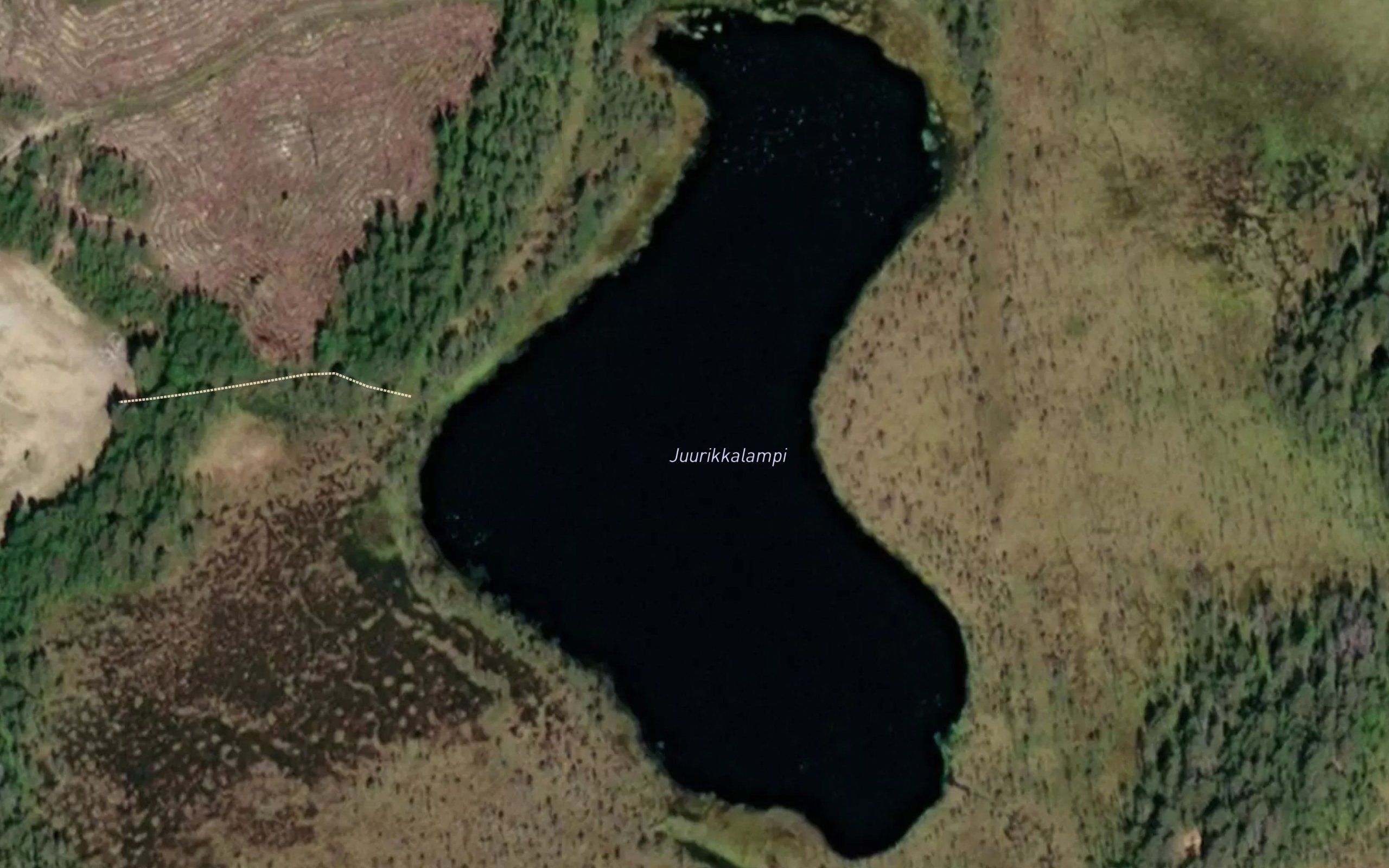 Juurikkalampi