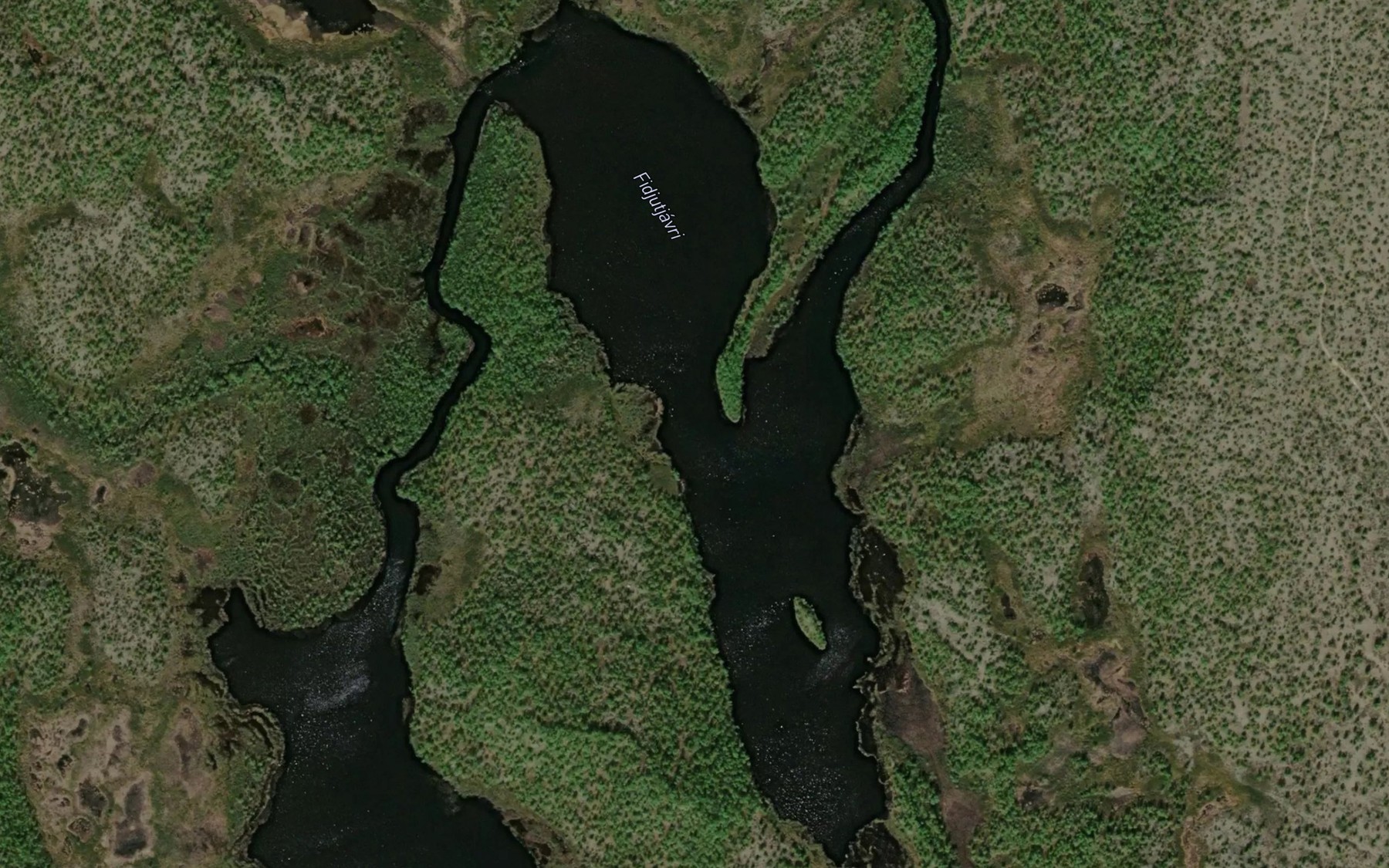 Satellite map of the Fiddjotjavri