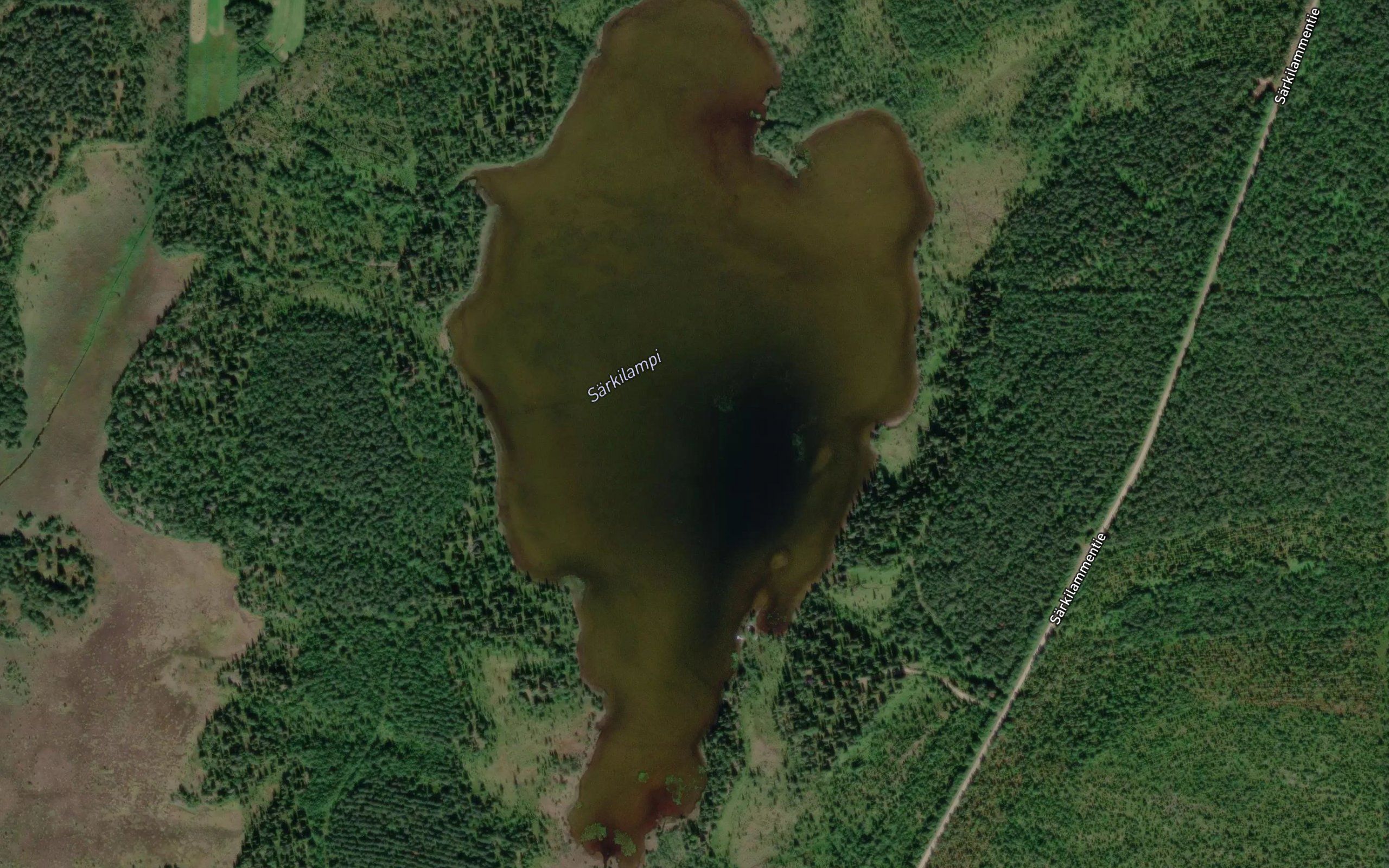 Sarkilampi