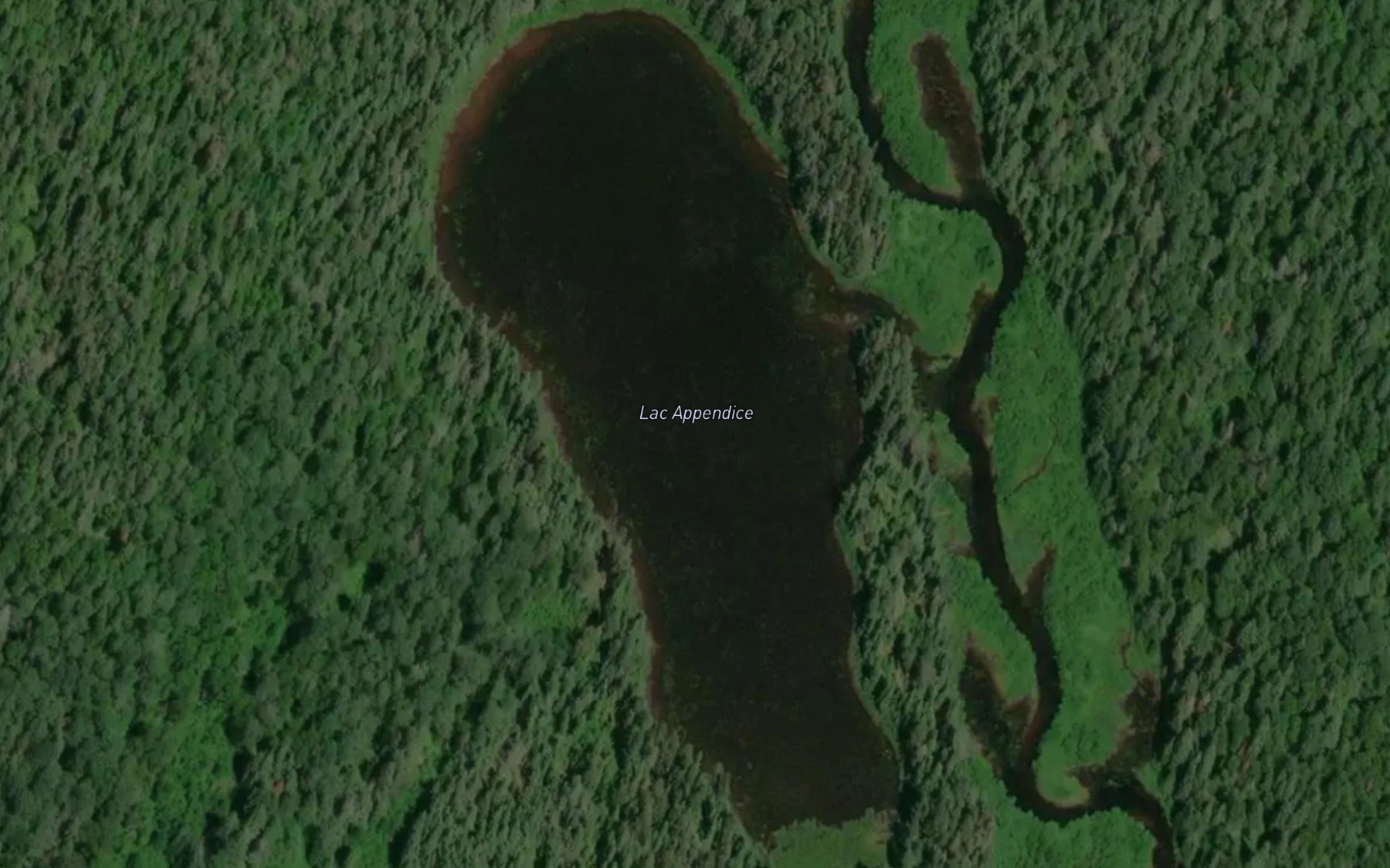 Satellite map of the Lac Appendice