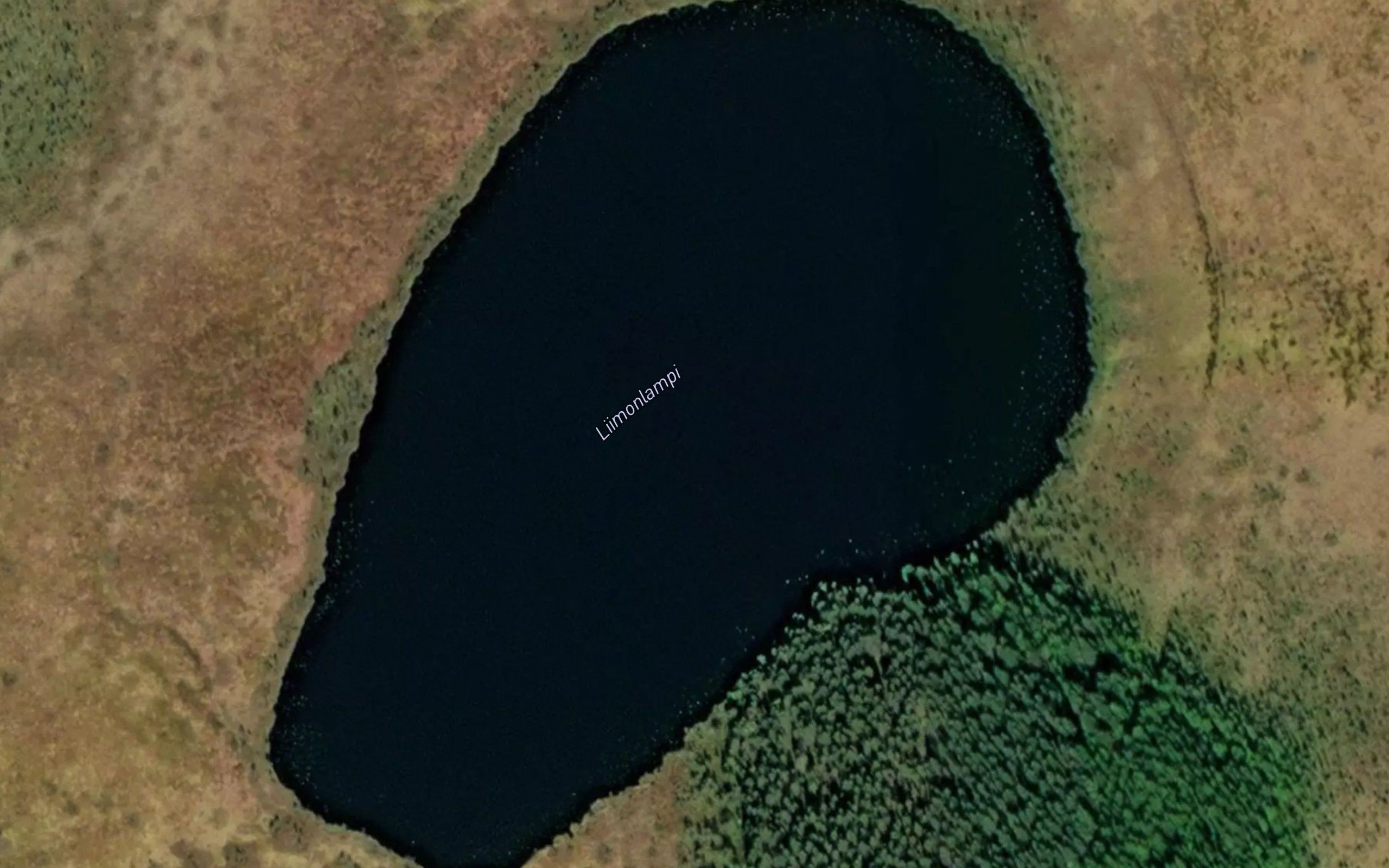 Liimonlampi