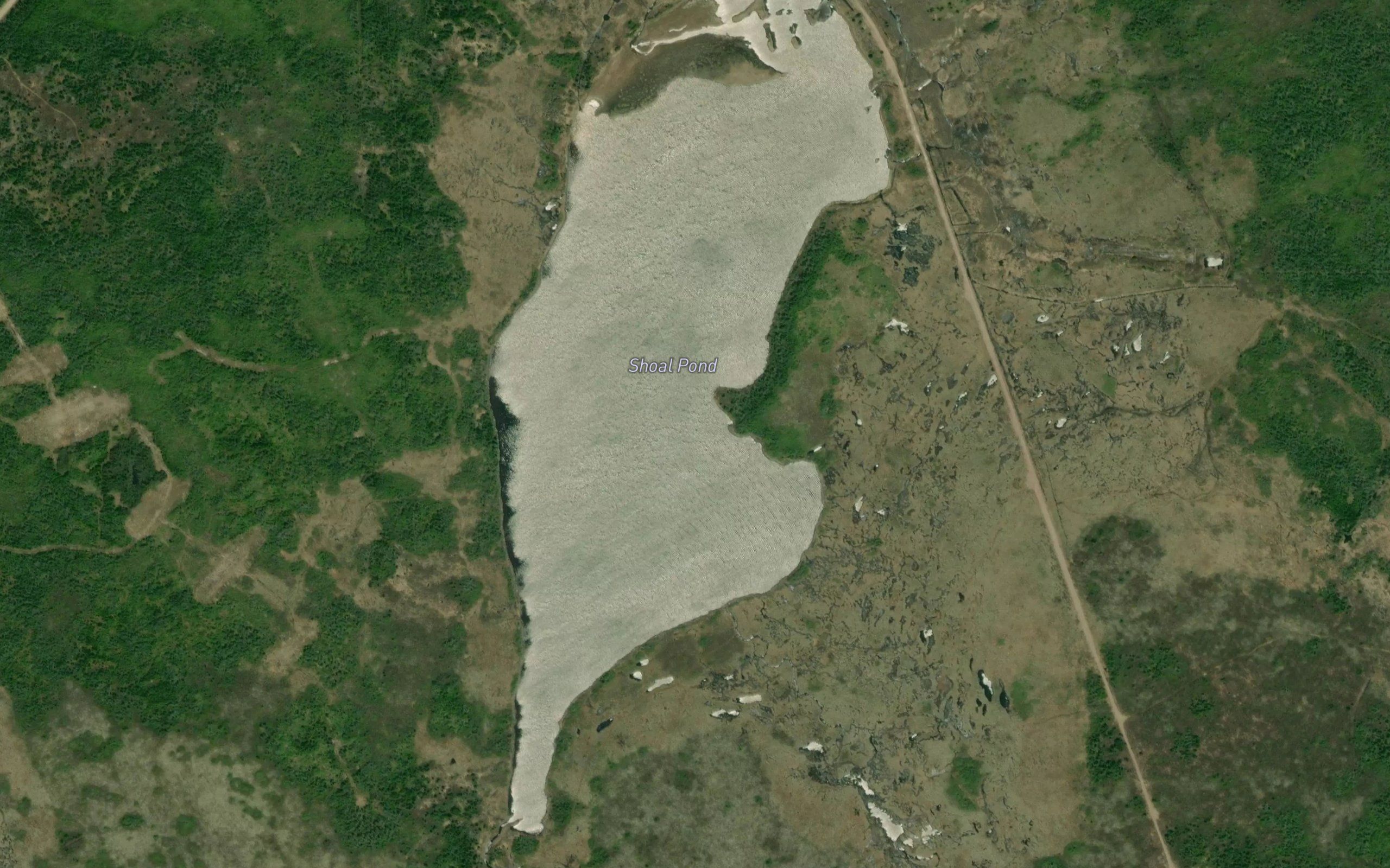 Shoal Pond