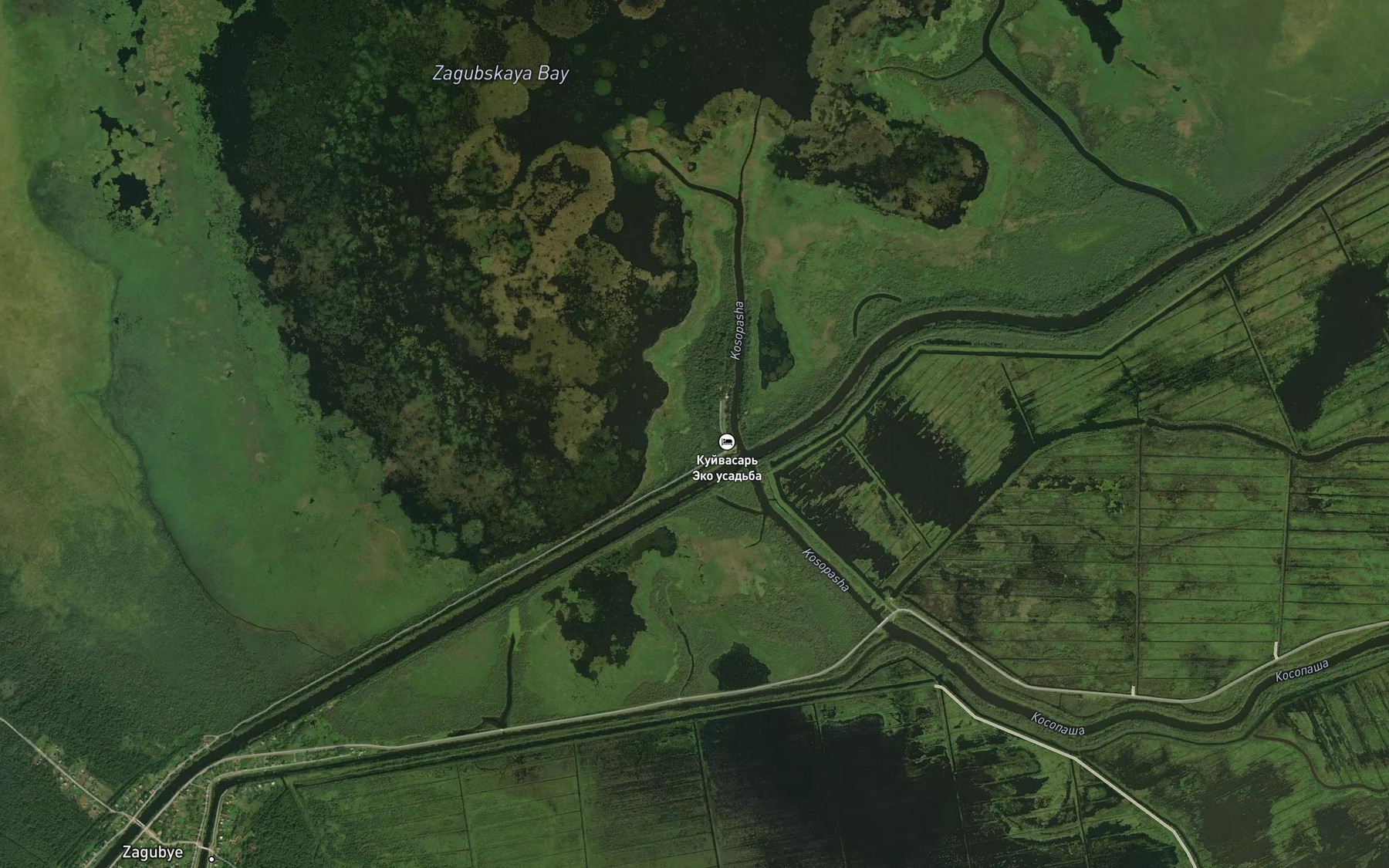Satellite map of the Kuyvasar'
