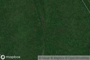 Government Cypress Slough