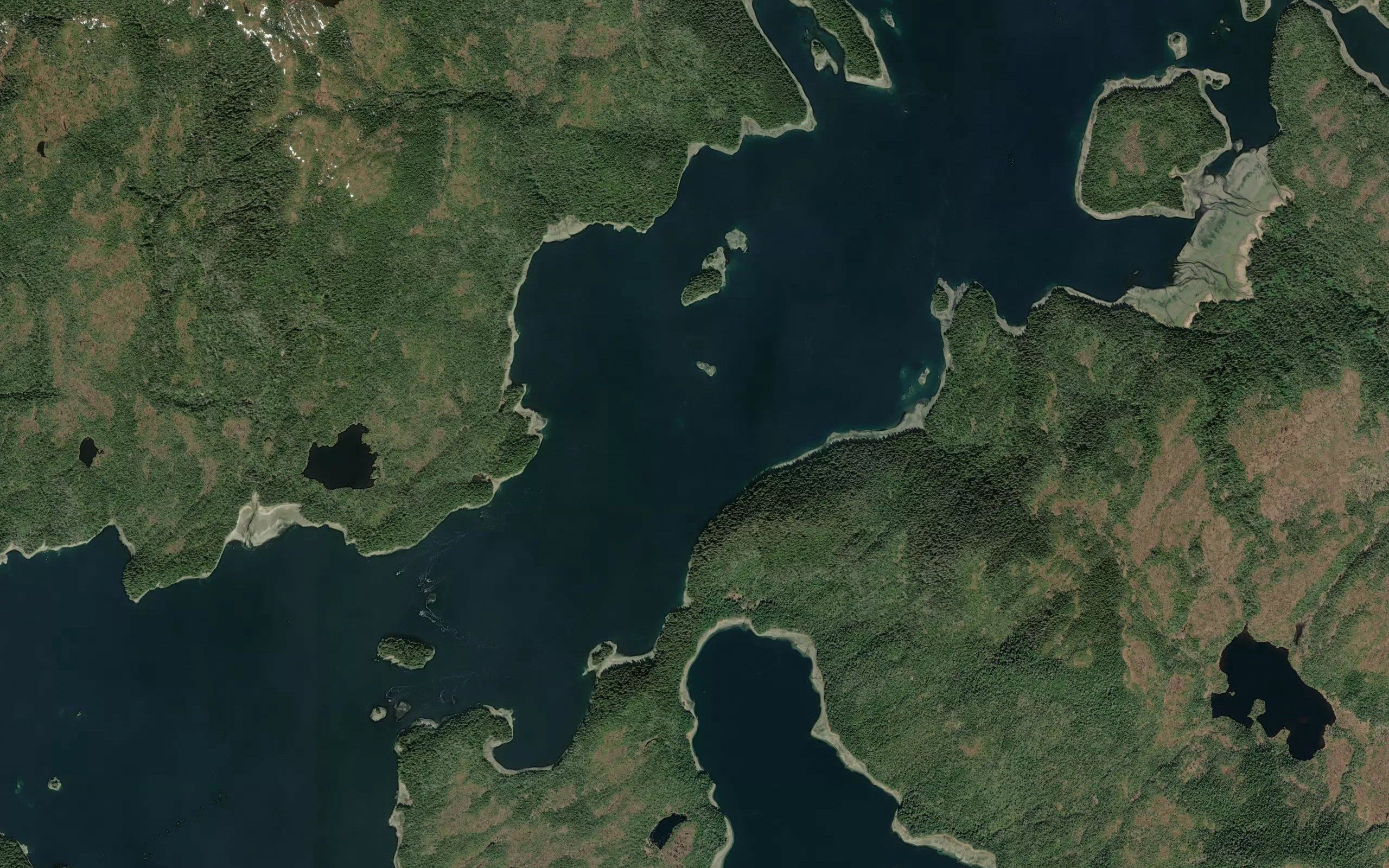 Liesnoi Shoal