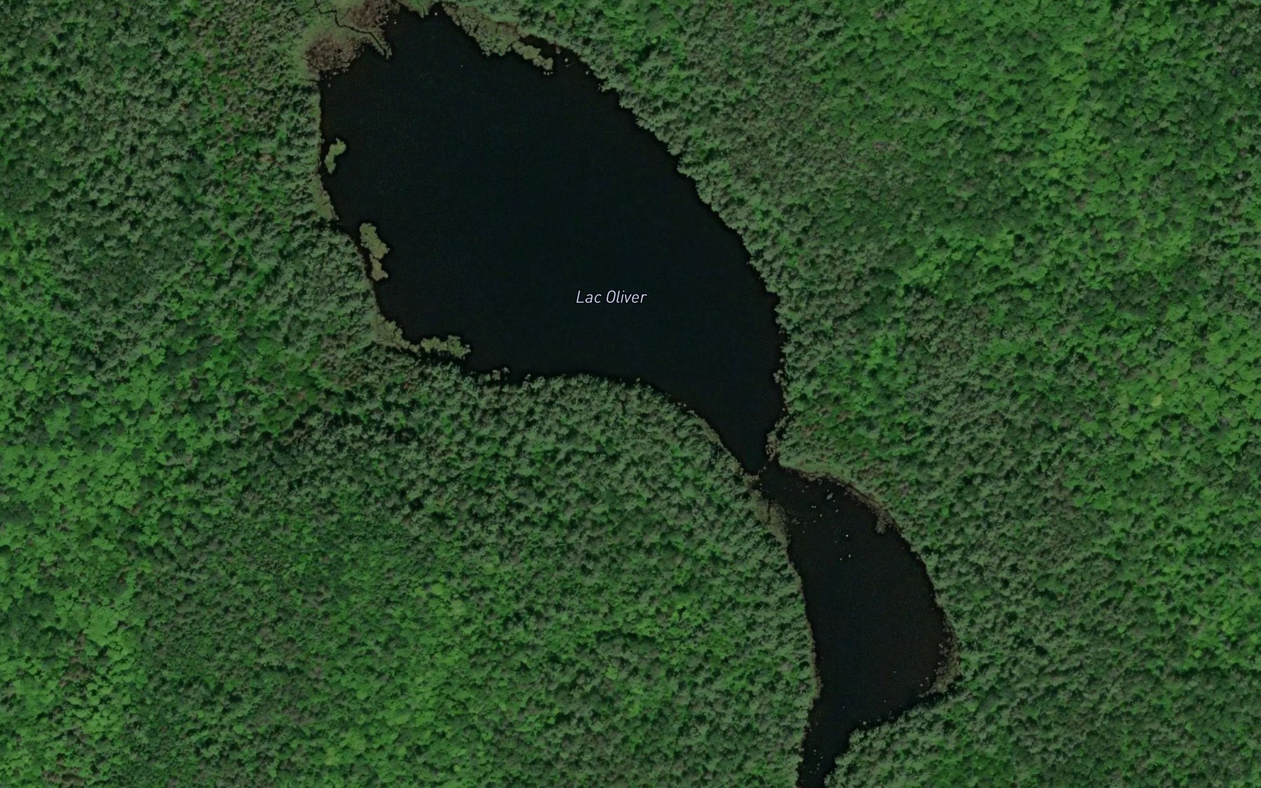 Satellite map of the Lac Oliver