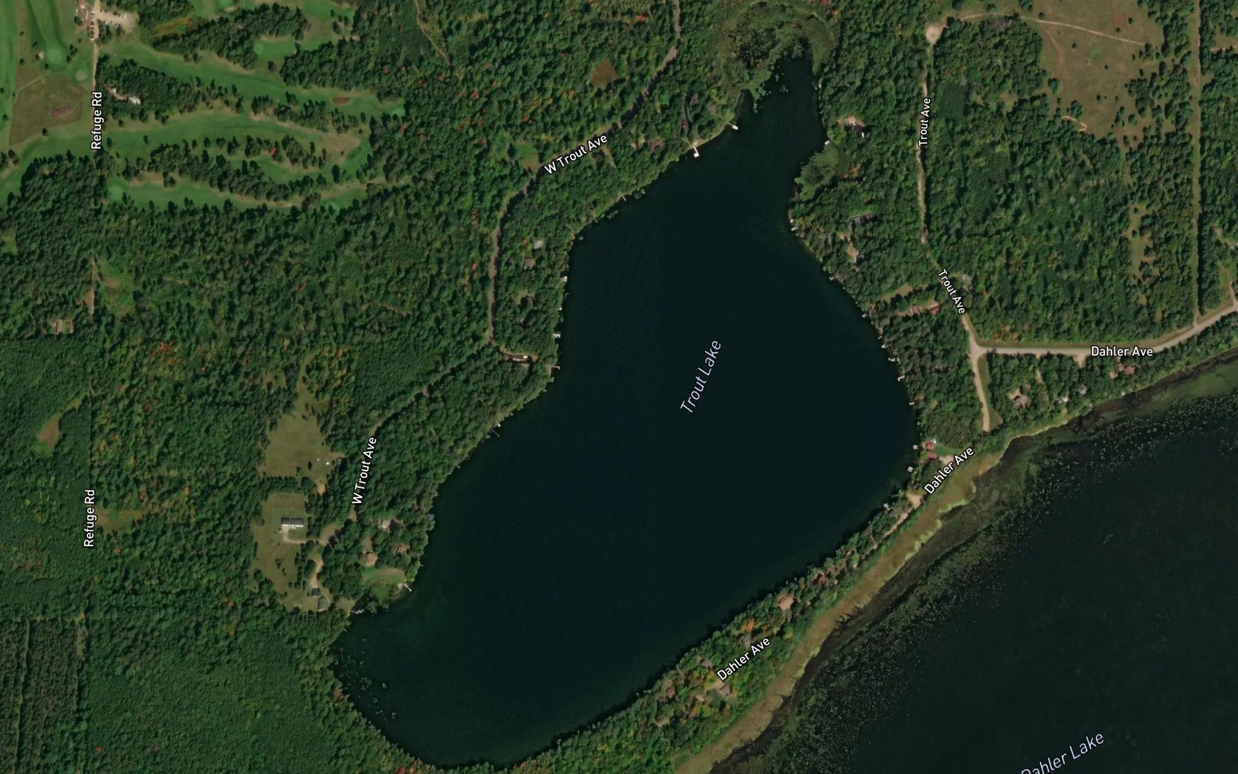 Satellite map of the Trout Lake