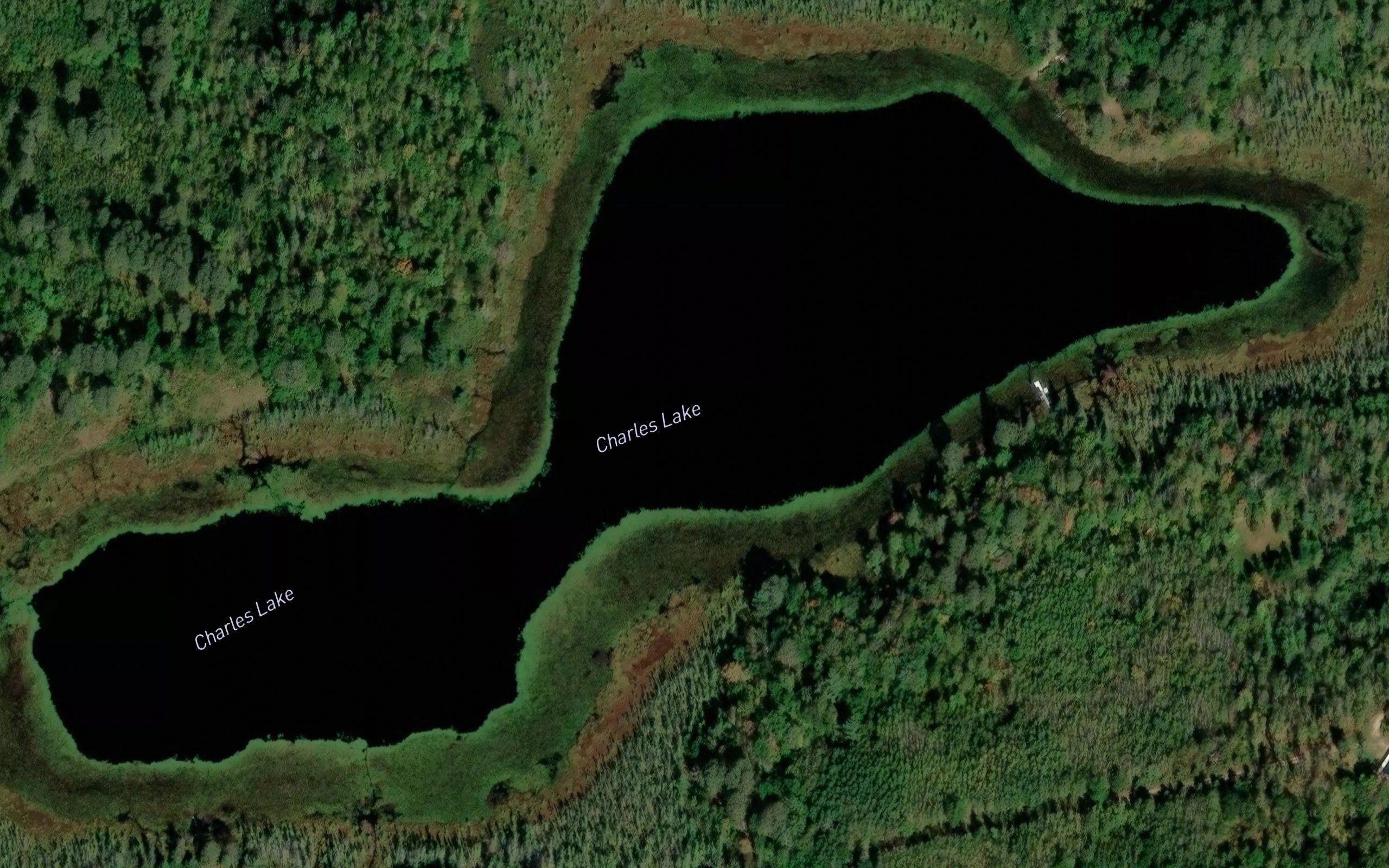 Charles Lake
