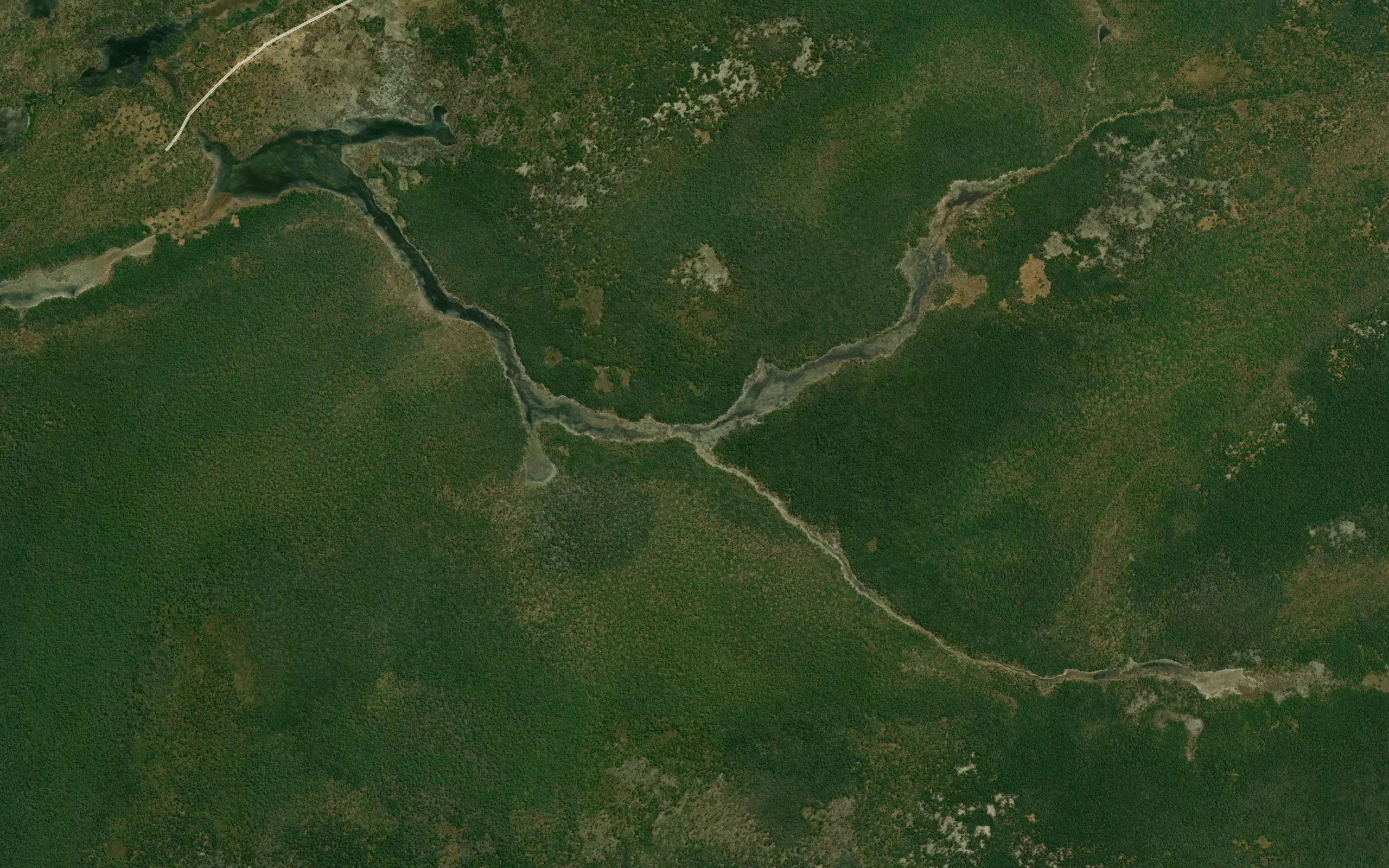 Luegi