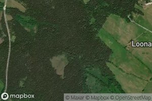 Satellite map of the Vesiku Oja