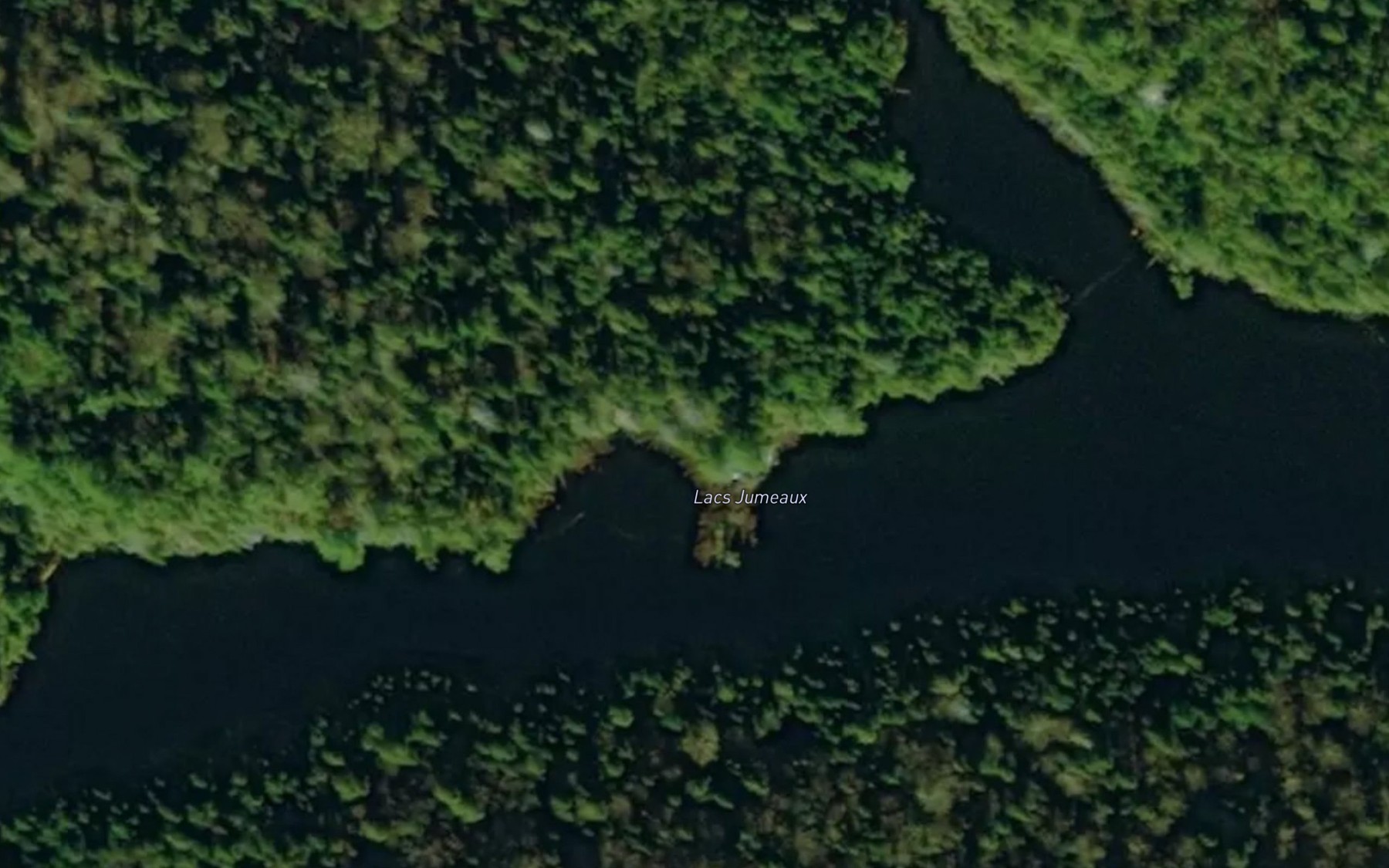 Satellite map of the Lacs Jumeaux