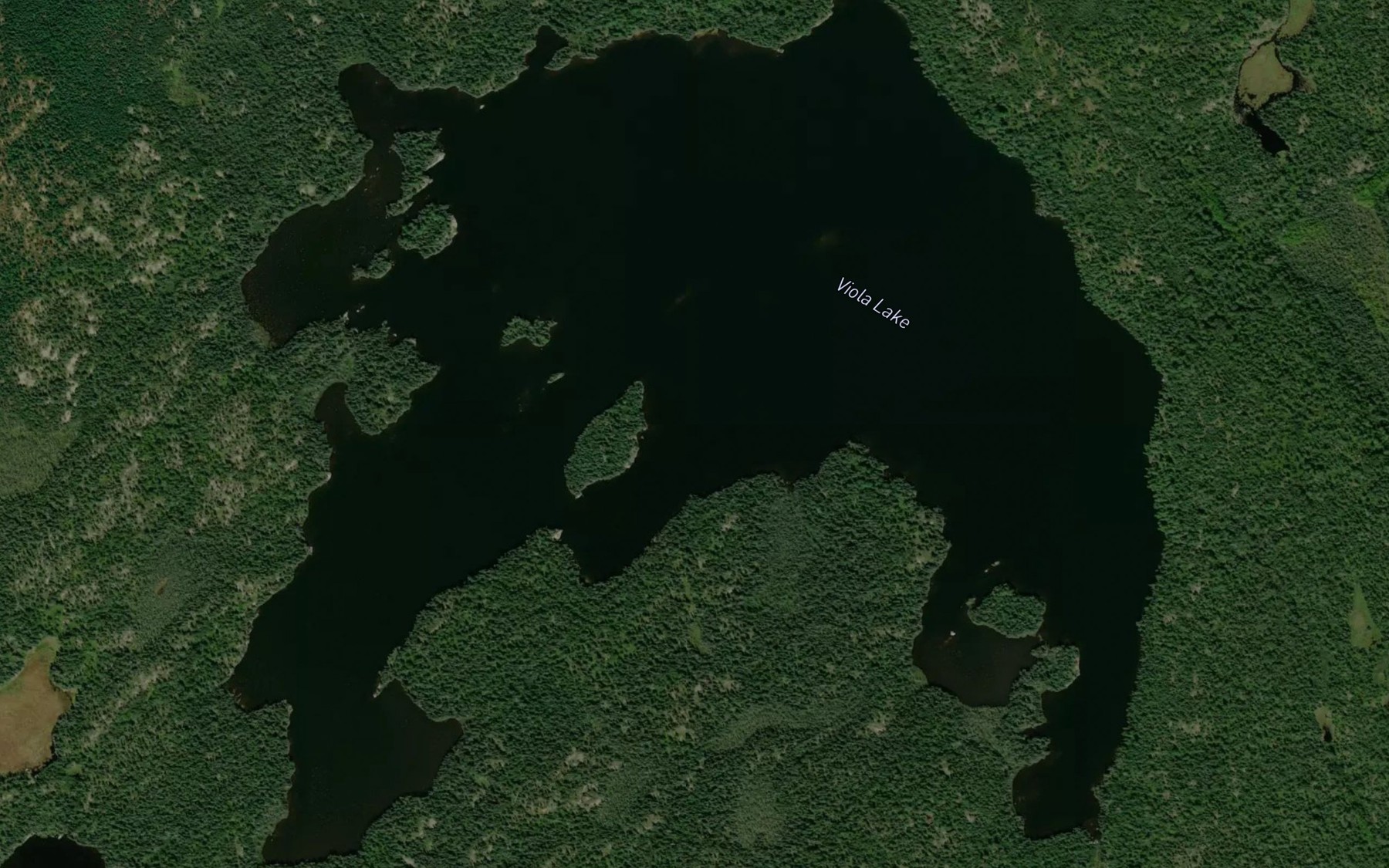 Satellite map of the Viola Lake