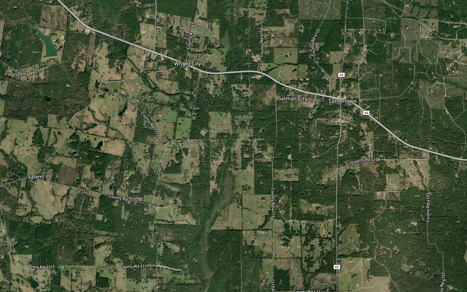 Satellite map of the Wright Branch