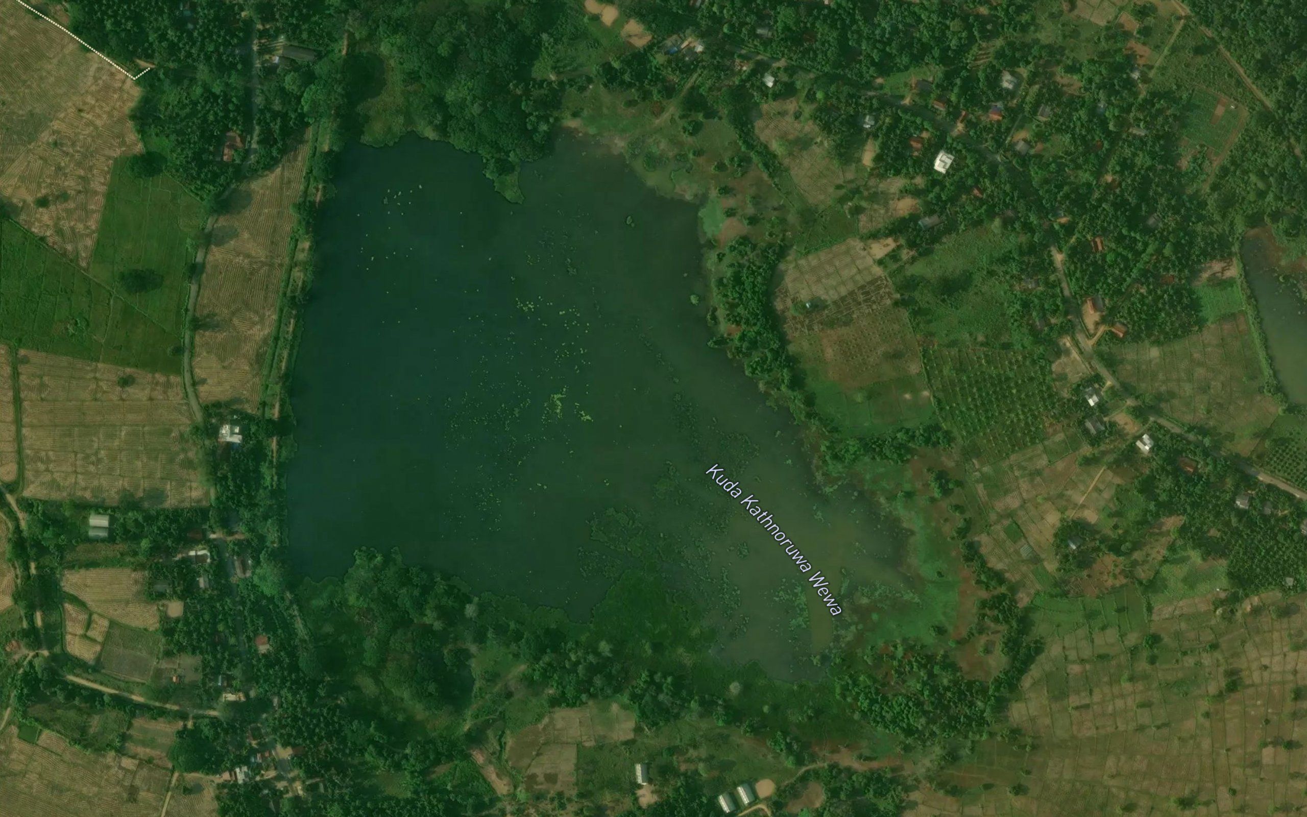Kuda Kathnoruwa Wewa