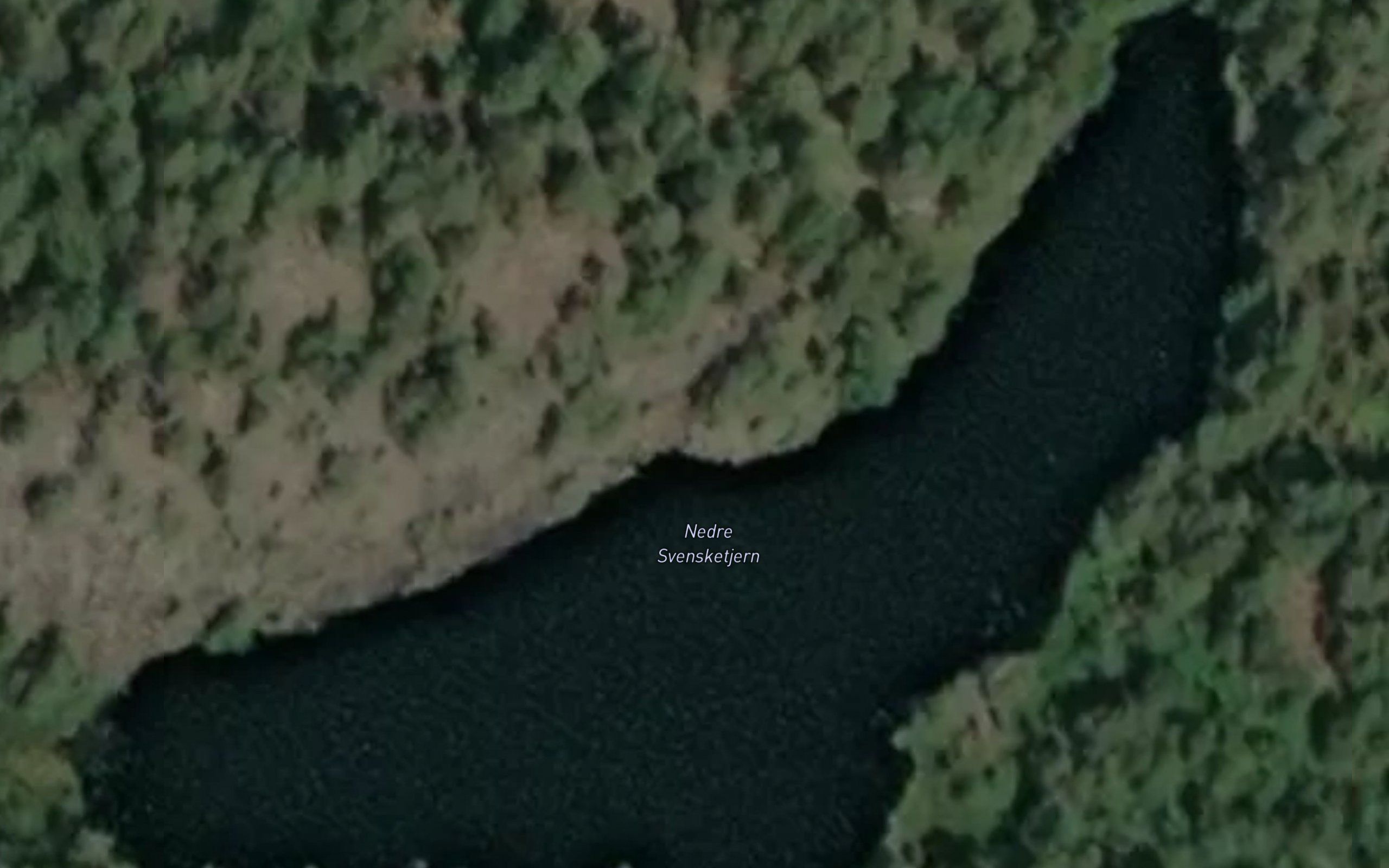Nedre Svensketjern