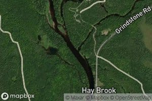 Mud Brook