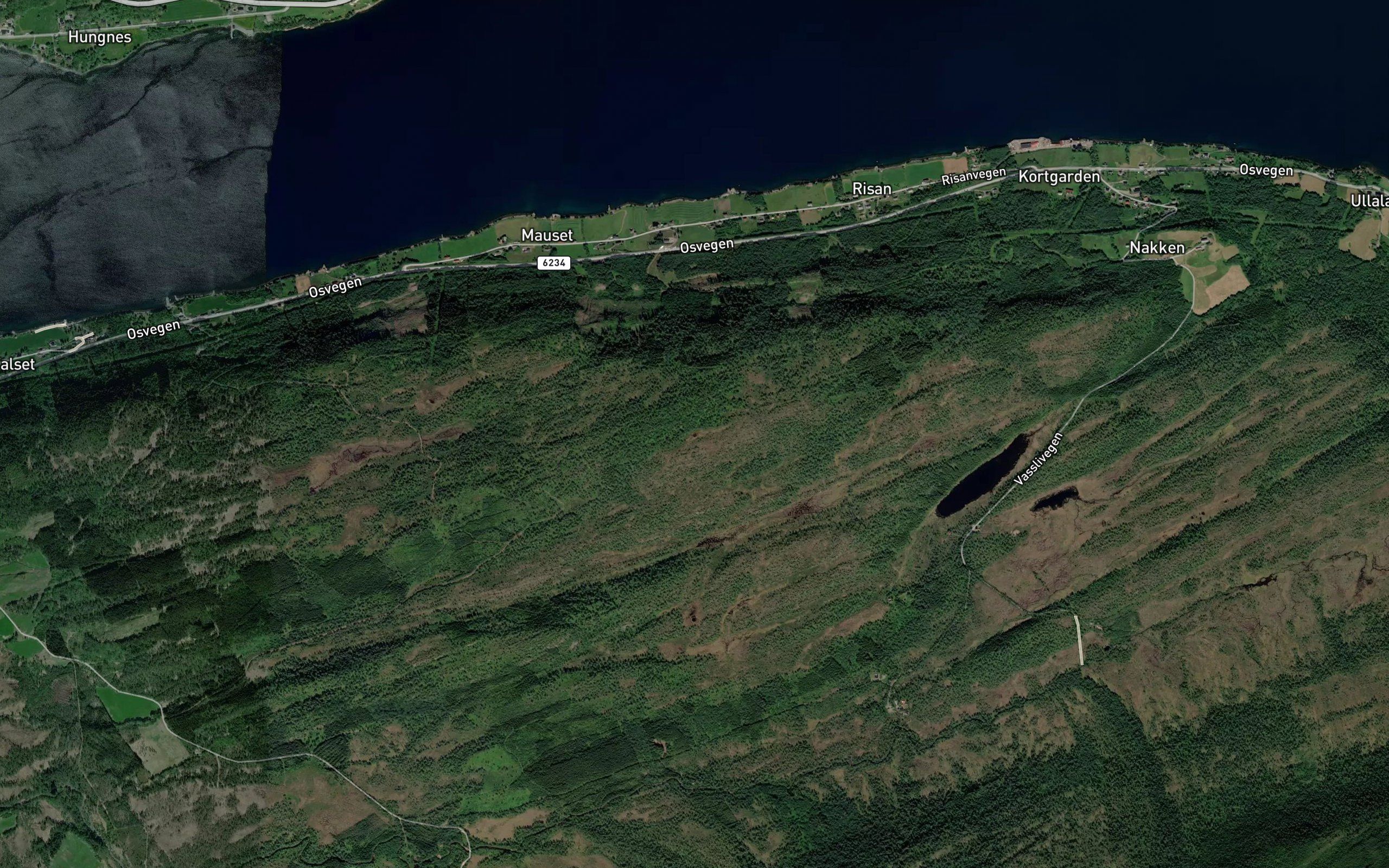 Bjerkalitjonna