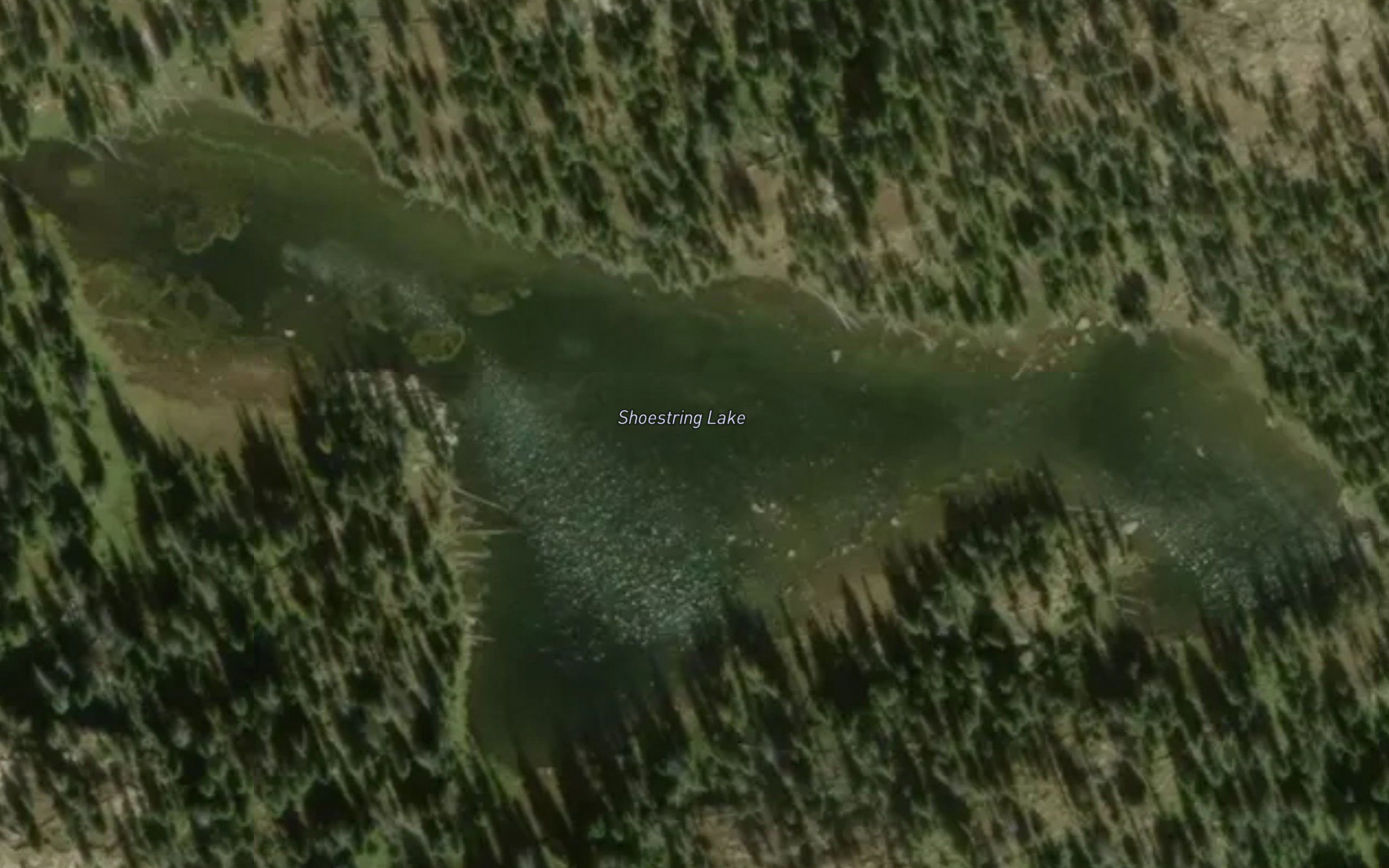 Shoestring Lake